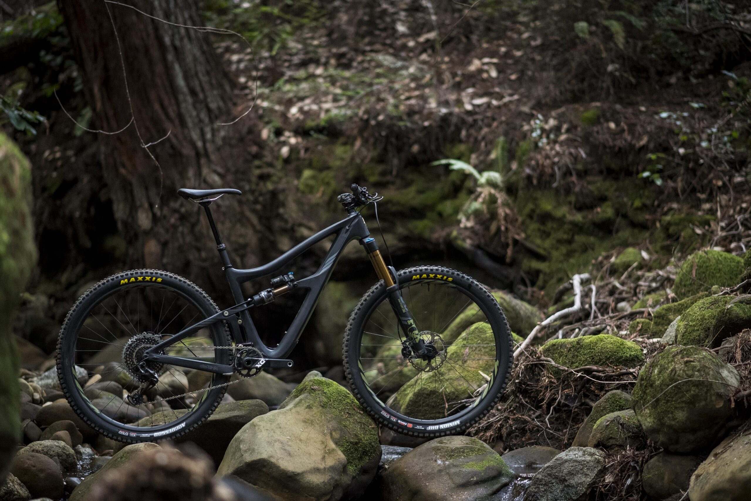 Ibis RipMo: A mountain bike positioned on rocks in a forested area, surrounded by lush green moss and plants. The bike features a black frame and is equipped with Maxxis tires, showcasing a rugged design suitable for off-road cycling.