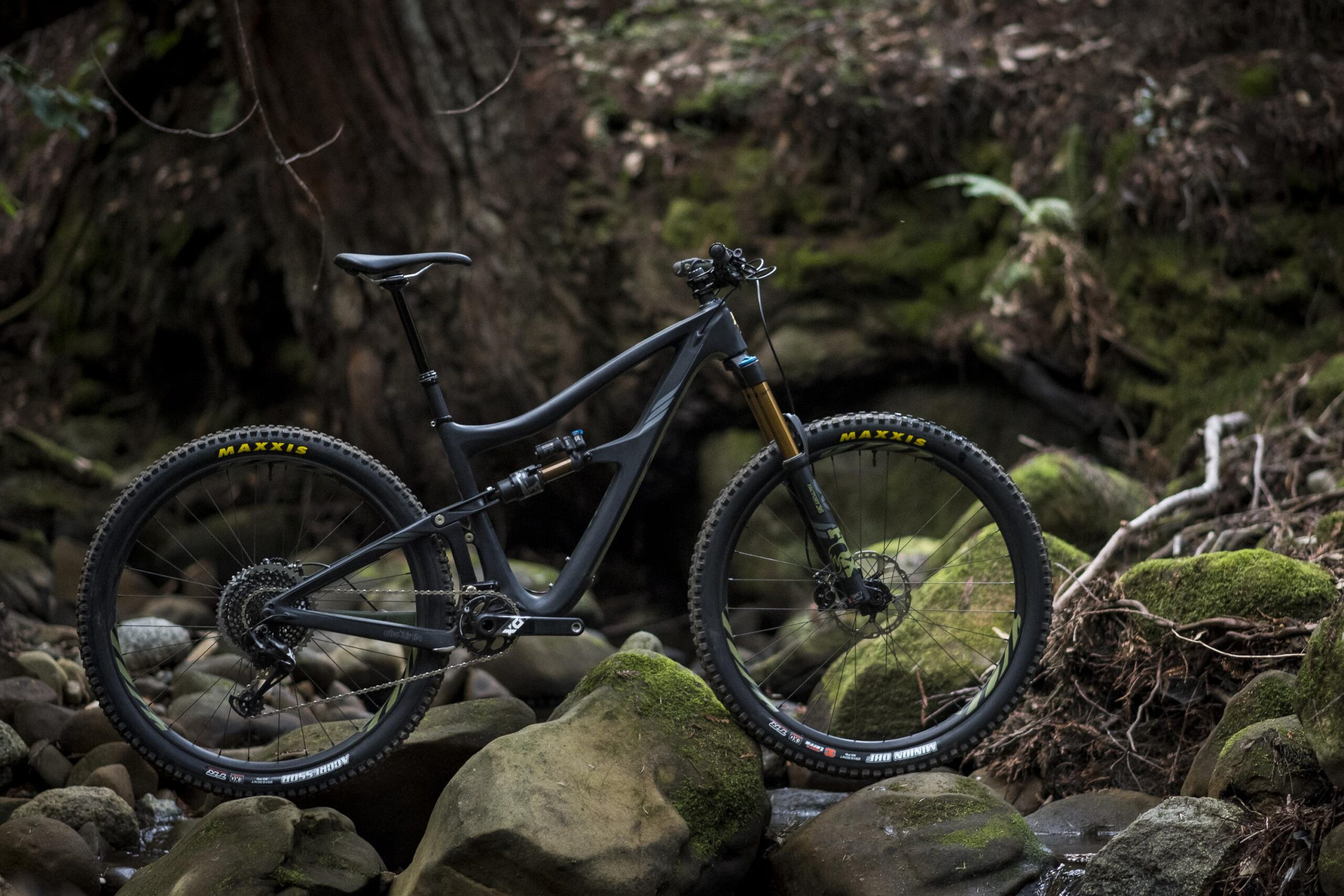 Ibis RipMo: A mountain bike resting on a bed of rocks beside a stream in a dense forest setting, surrounded by moss-covered stones and greenery. The bike features a sleek design with a black frame, suspension components, and distinct Maxxis tires.