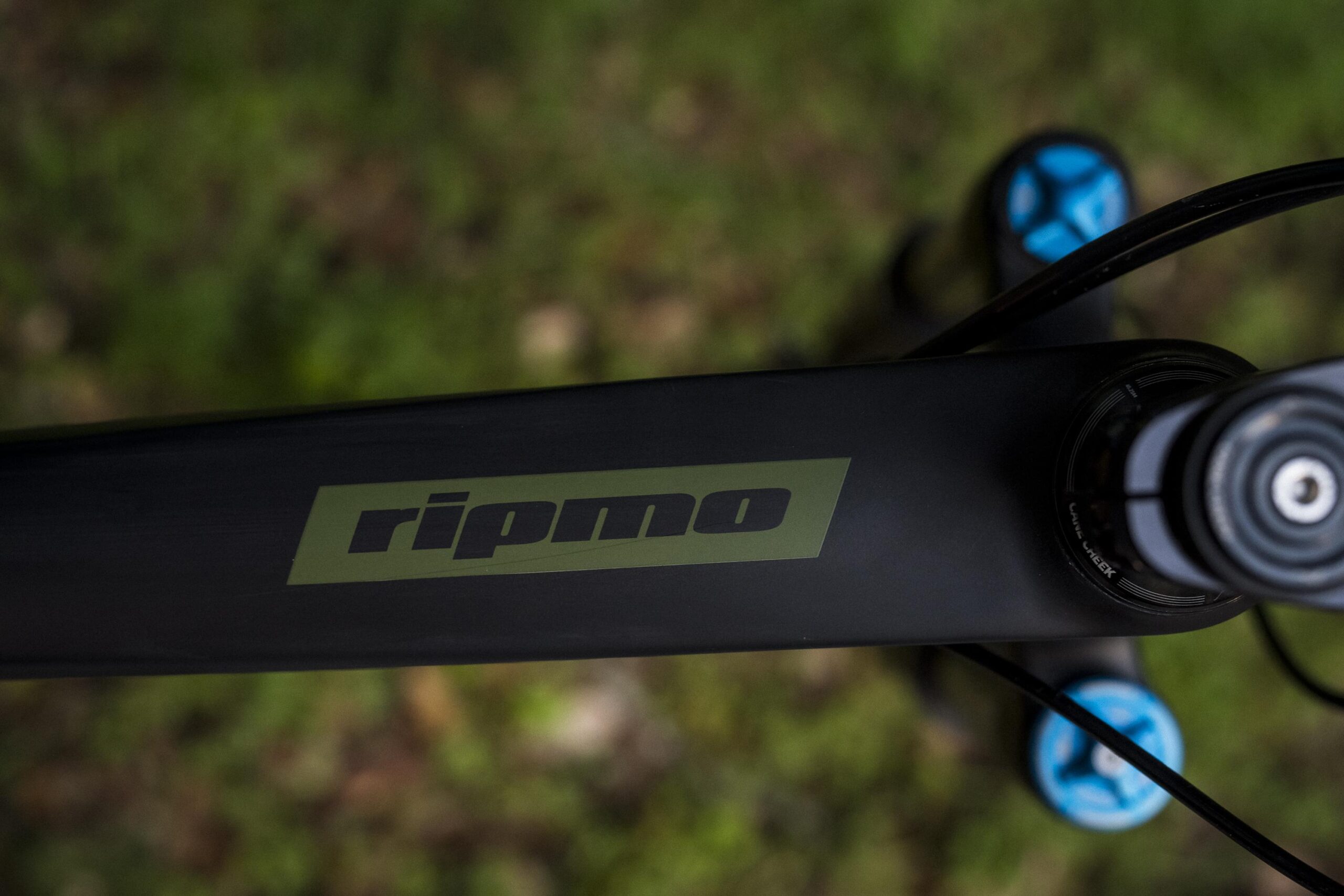 Ibis RipMo: Close-up view of a mountain bike frame featuring the "Ripmo" logo in green on a black background, with components and part of the handlebars visible, set against a blurred green and brown natural backdrop.