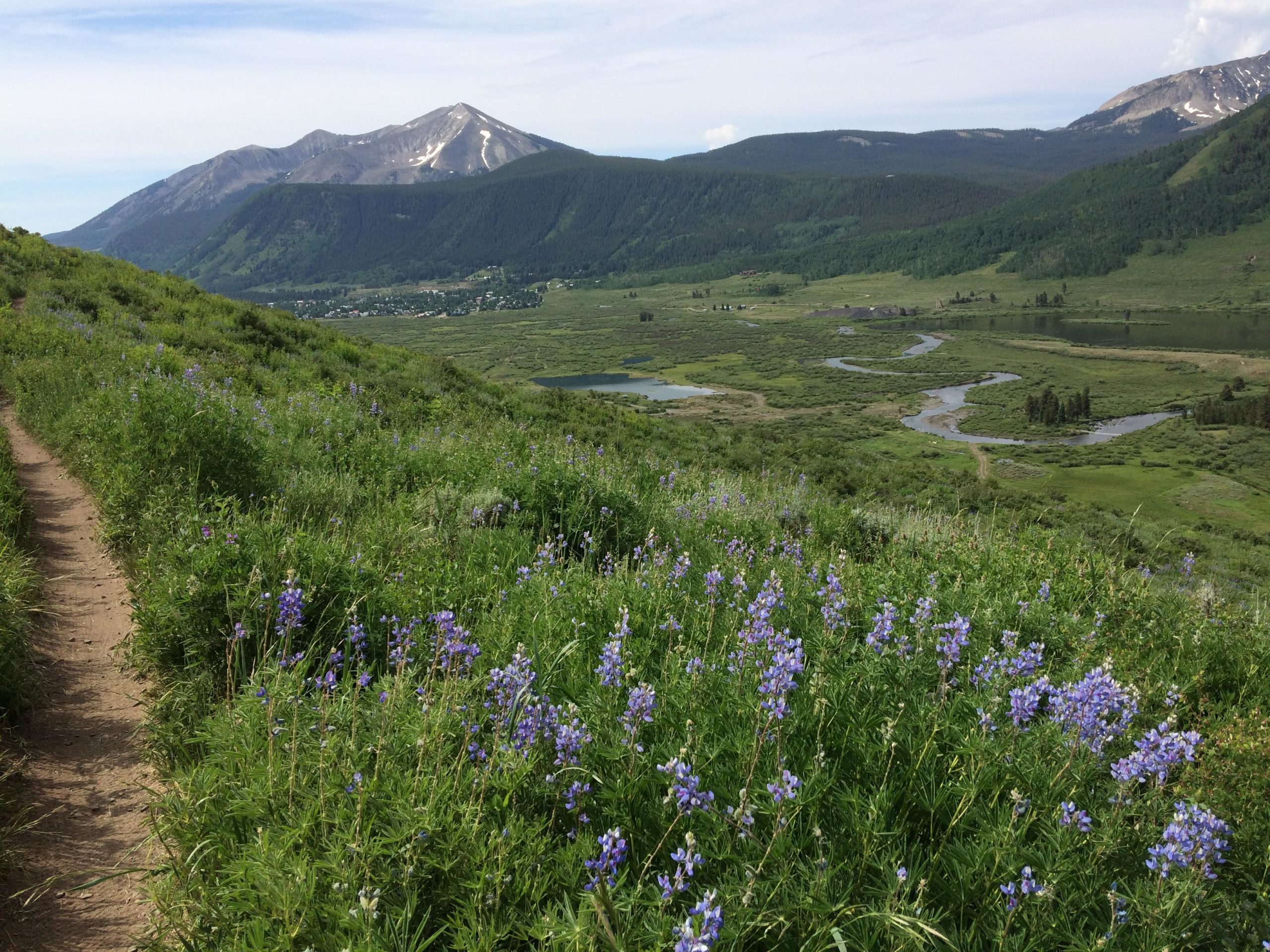 A scenic view of a mountainous landscape featuring a winding river and lush green meadows. The foreground includes a trail lined with blooming purple wildflowers. In the background, rugged mountains rise against a partly cloudy sky. Lupine Trail mountain bike trail.