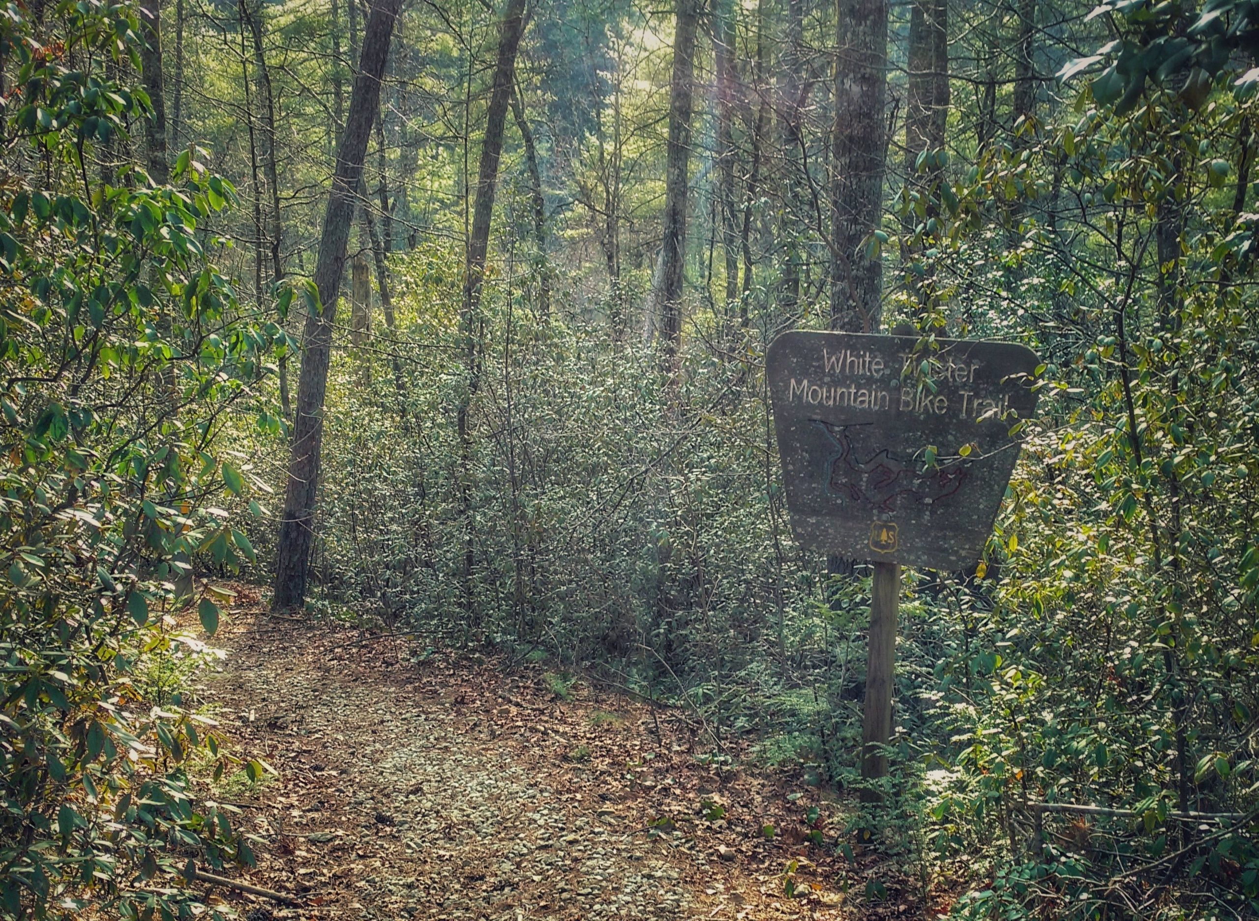 A forested trail with a wooden sign indicating the "White Water Mountain Bike Trail." The path winds through trees and greenery, with sunlight filtering through the foliage, creating a peaceful outdoor setting. White Twister mountain bike trail.