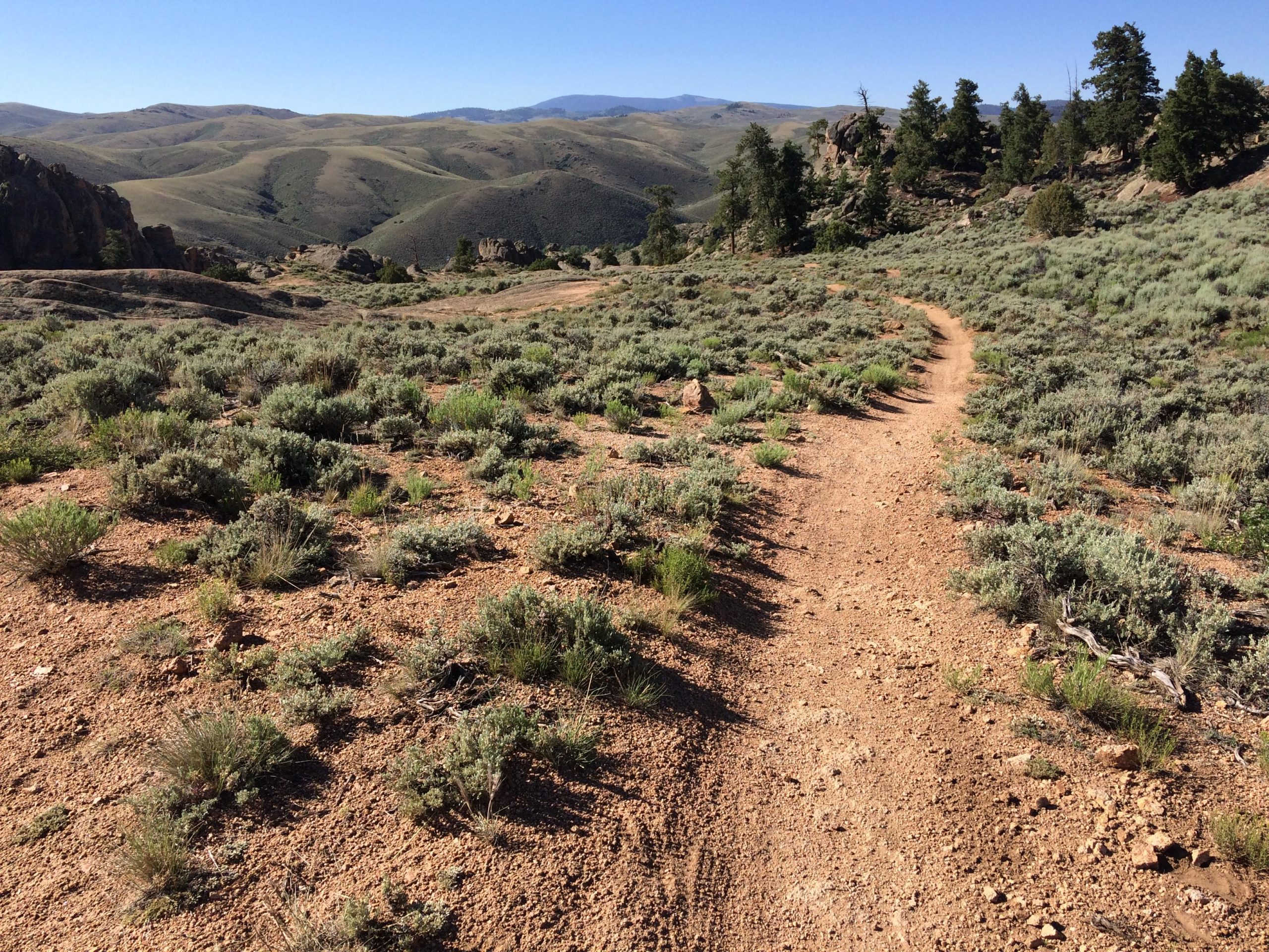 A scenic view of a gravel path winding through a rugged landscape, with rolling green hills and shrubs in the foreground. The sky is clear and blue, indicating a sunny day. Distant mountains are visible in the background, enhancing the natural beauty of the setting. Hartman Rocks mountain bike trail.