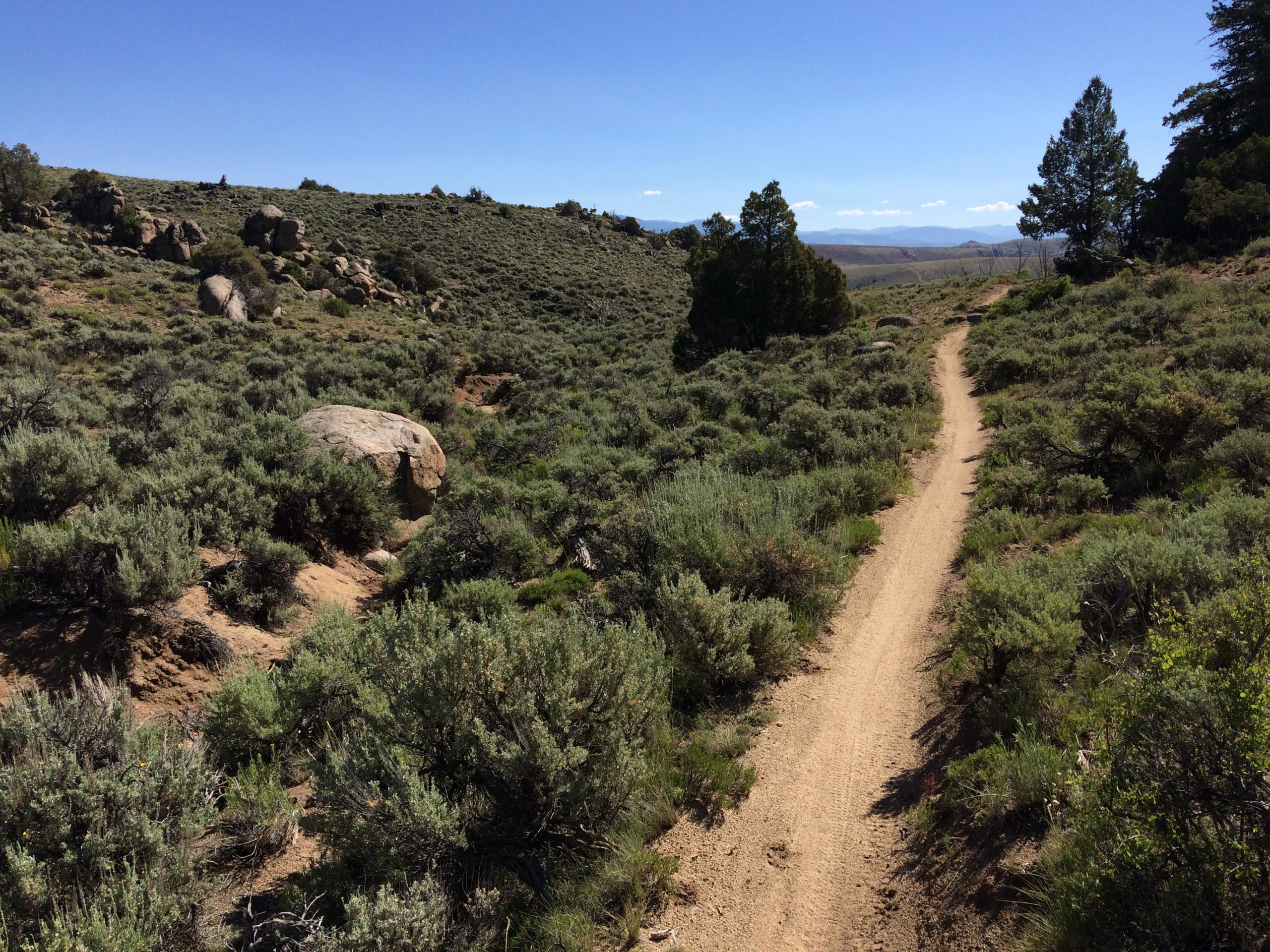 A winding dirt trail surrounded by sagebrush and rocky terrain, under a clear blue sky with distant mountain views. Hartman Rocks mountain bike trail.