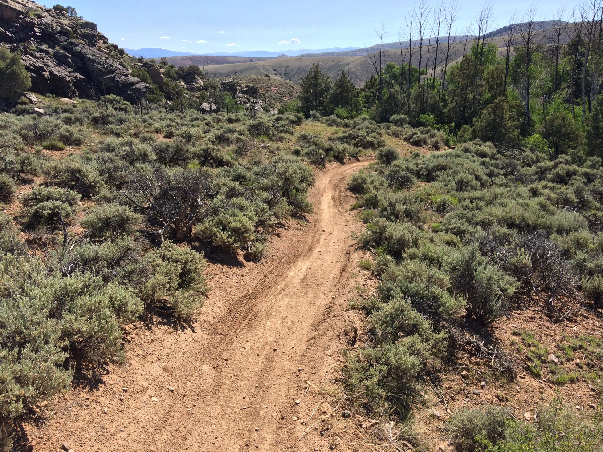 A winding dirt path through a sagebrush-covered landscape, with rocky outcrops and distant mountains under a clear blue sky. Hartman Rocks mountain bike trail.
