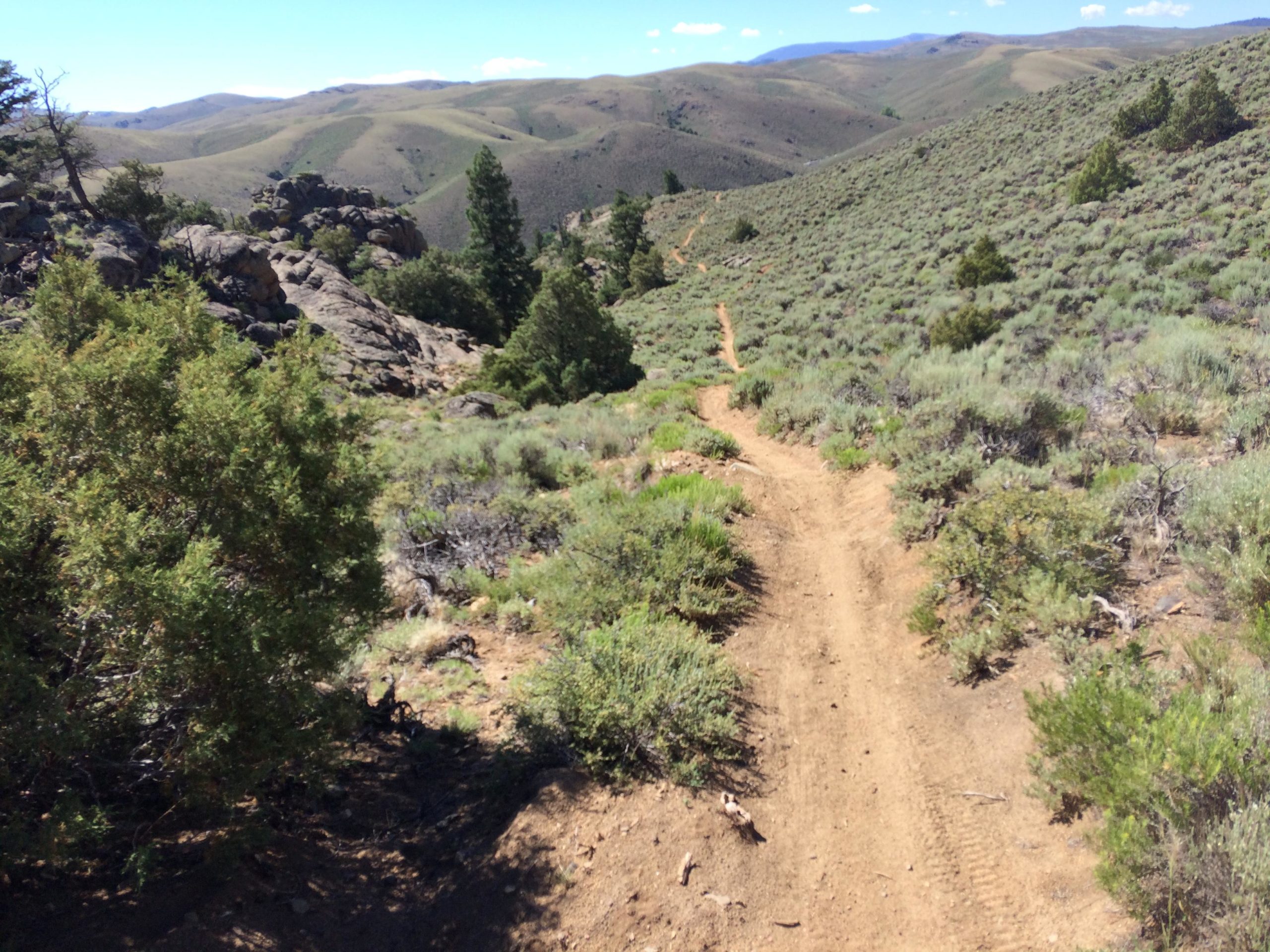 A dirt path winds through a landscape of rolling hills covered with sparse vegetation, including bushes and rocky formations, under a clear blue sky. Hartman Rocks mountain bike trail.