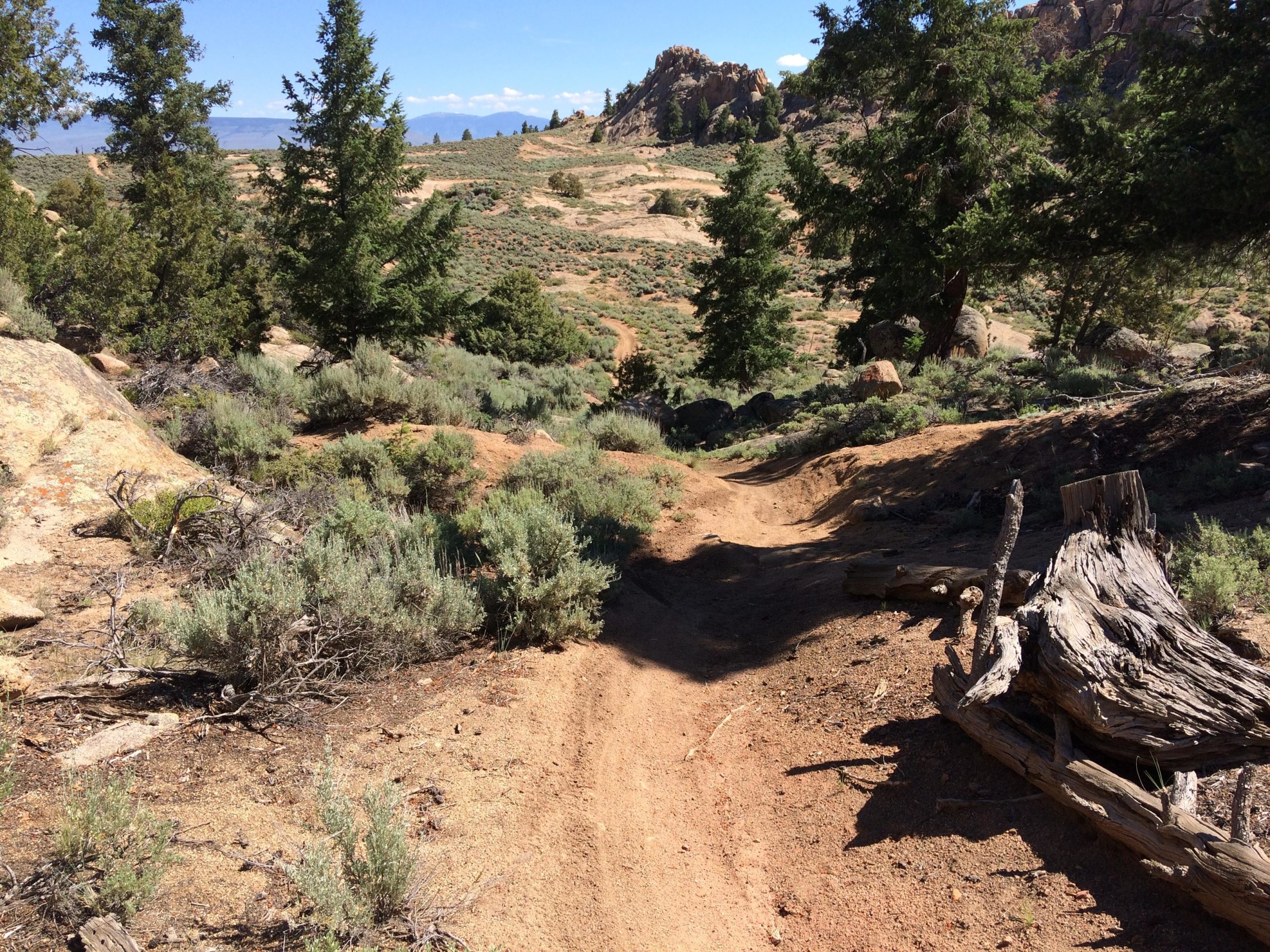 A scenic dirt path winding through a rugged landscape, bordered by shrubs and small trees. In the background, rocky formations rise against a clear blue sky, and distant mountains are visible. The terrain is arid, featuring sandy soil and scattered boulders. Hartman Rocks mountain bike trail.