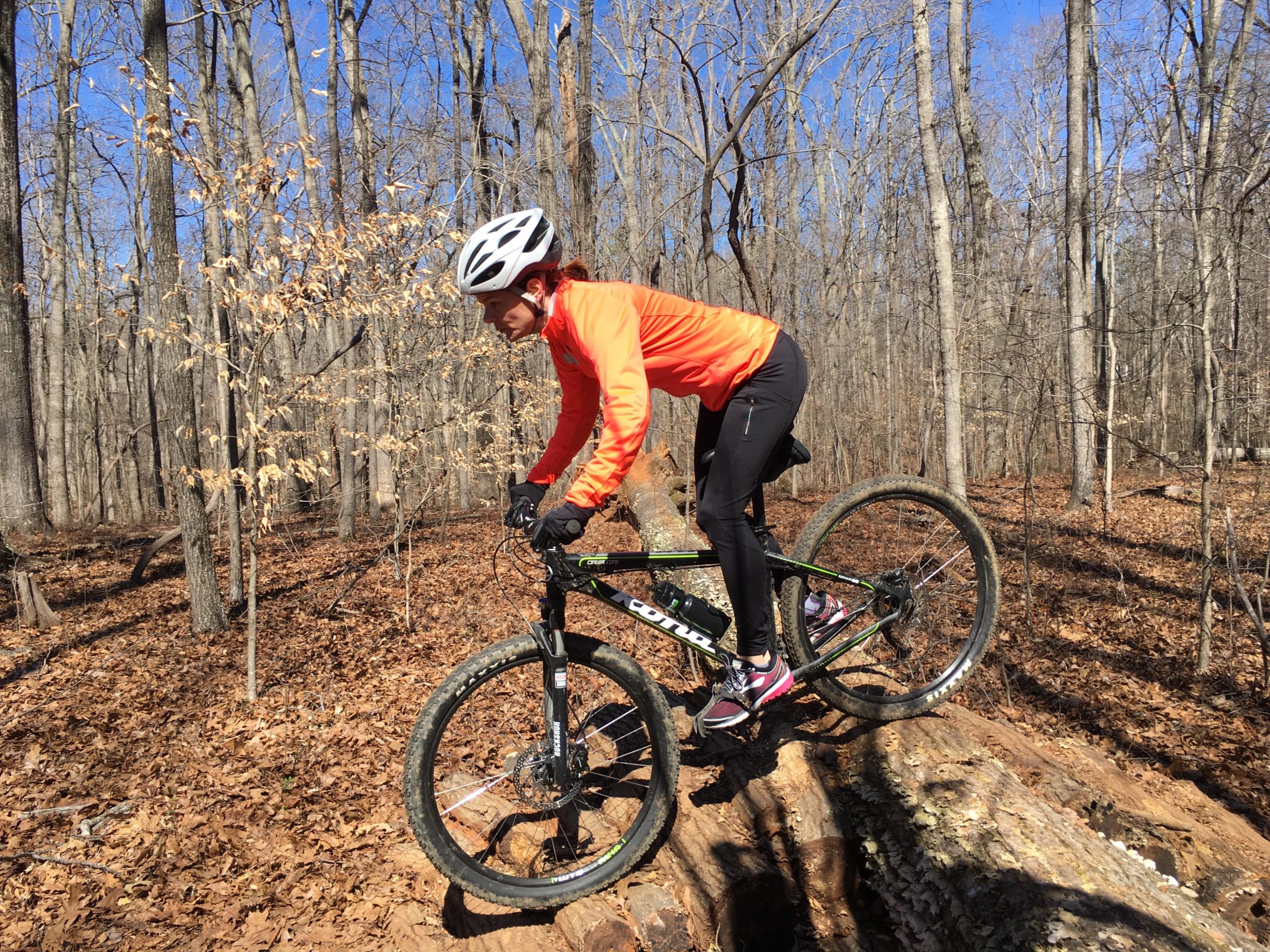 A person wearing an orange jacket and black pants is riding a mountain bike over a large fallen log in a forest. The background features bare trees and a clear blue sky, with some leaves scattered on the ground, indicating early spring or late autumn. Tanglewood Park mountain bike trail.