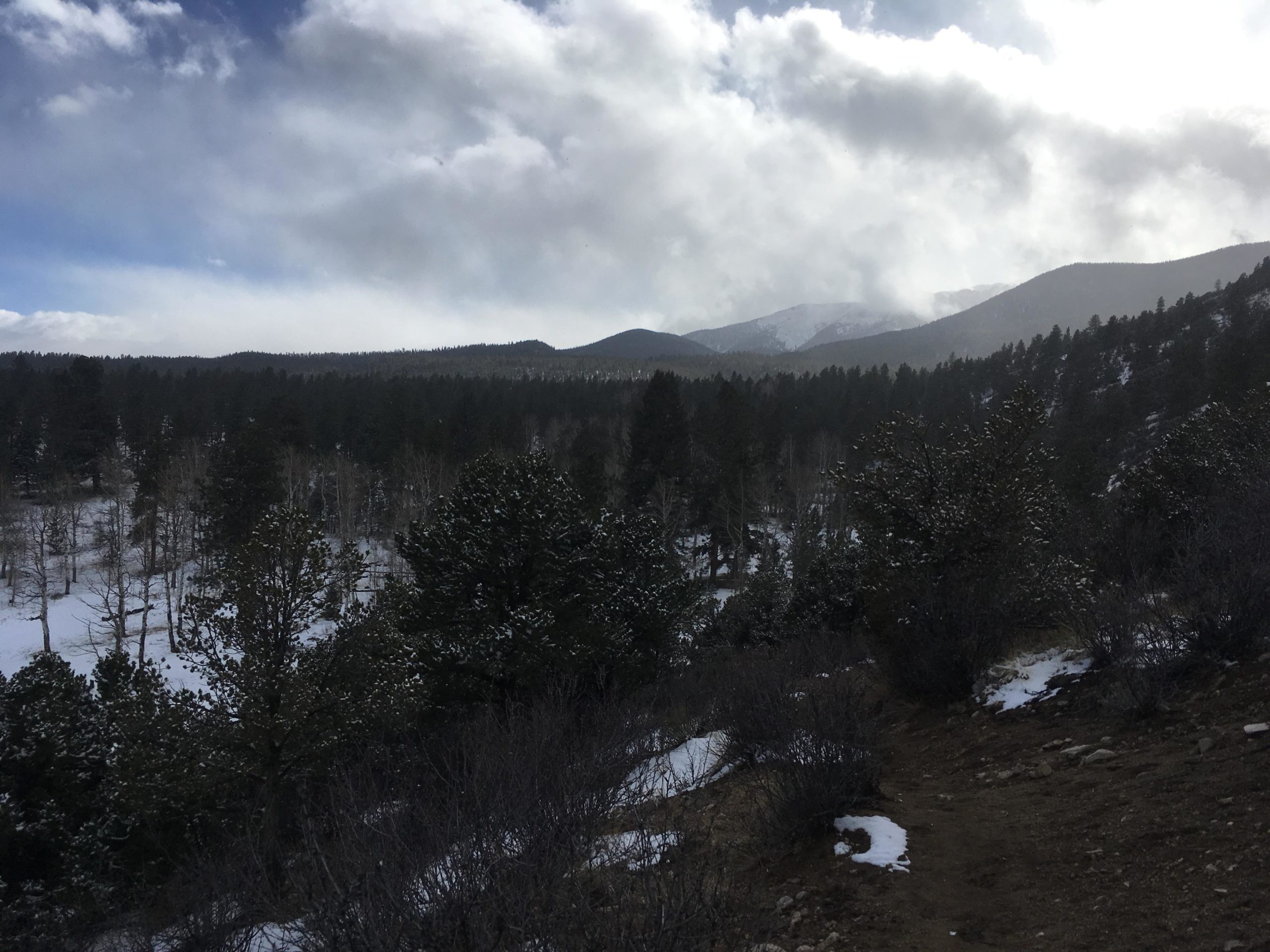 A scenic landscape featuring a snow-covered ground with patches of green pine trees and bare branches. In the background, majestic mountains rise under a partly cloudy sky, creating a serene and tranquil atmosphere. The path leads through the foreground, inviting exploration of the natural surroundings. Colorado Trail: Mt. Shavano thd to Chalk Creek thd mountain bike trail.