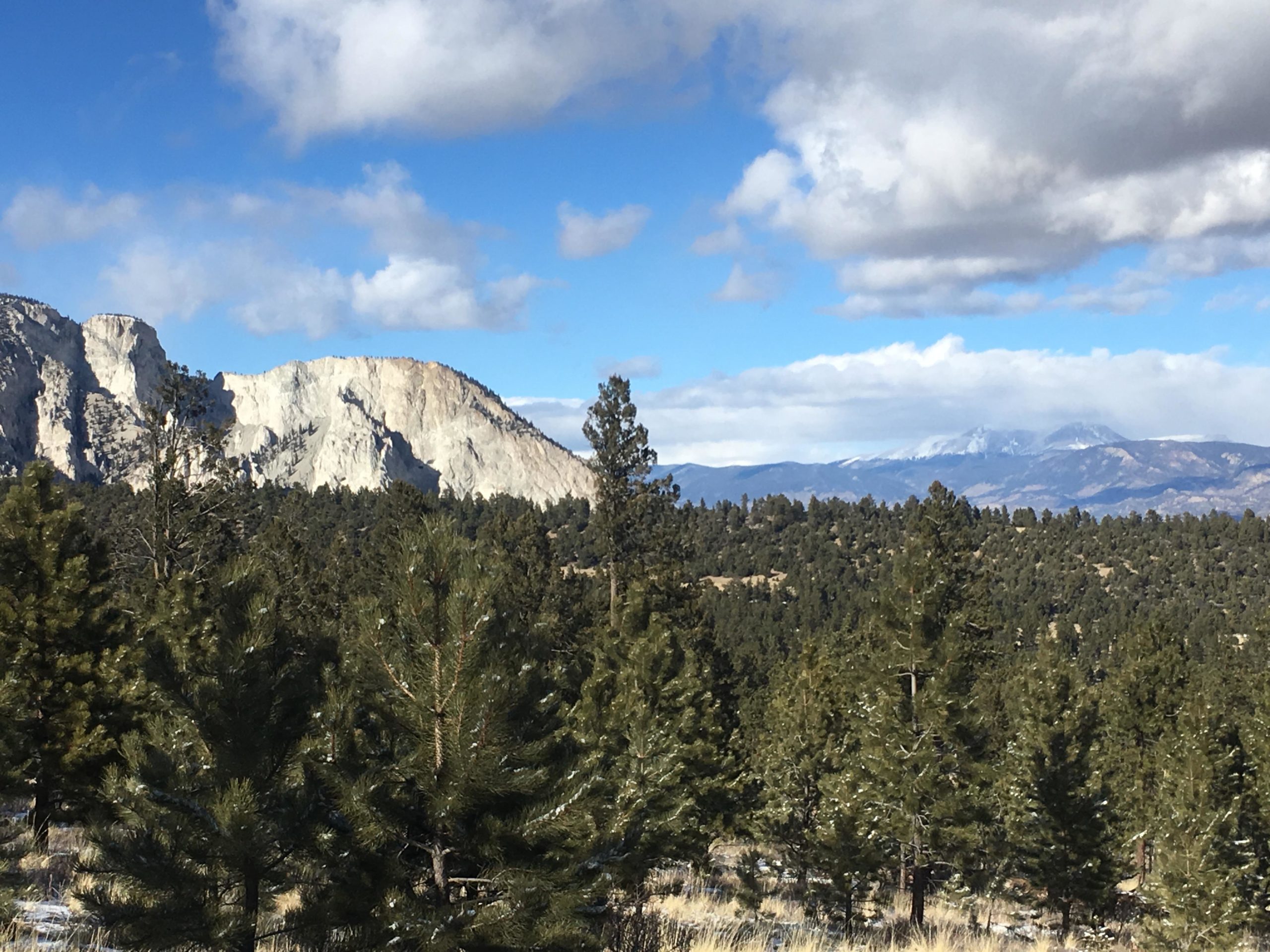 A scenic landscape featuring towering cliffs in the background, surrounded by lush green pine trees and a vast sky partly cloudy with blue and gray hues. Snow-capped mountains can be seen in the distance, creating a picturesque natural setting. Colorado Trail: Mt. Shavano thd to Chalk Creek thd mountain bike trail.