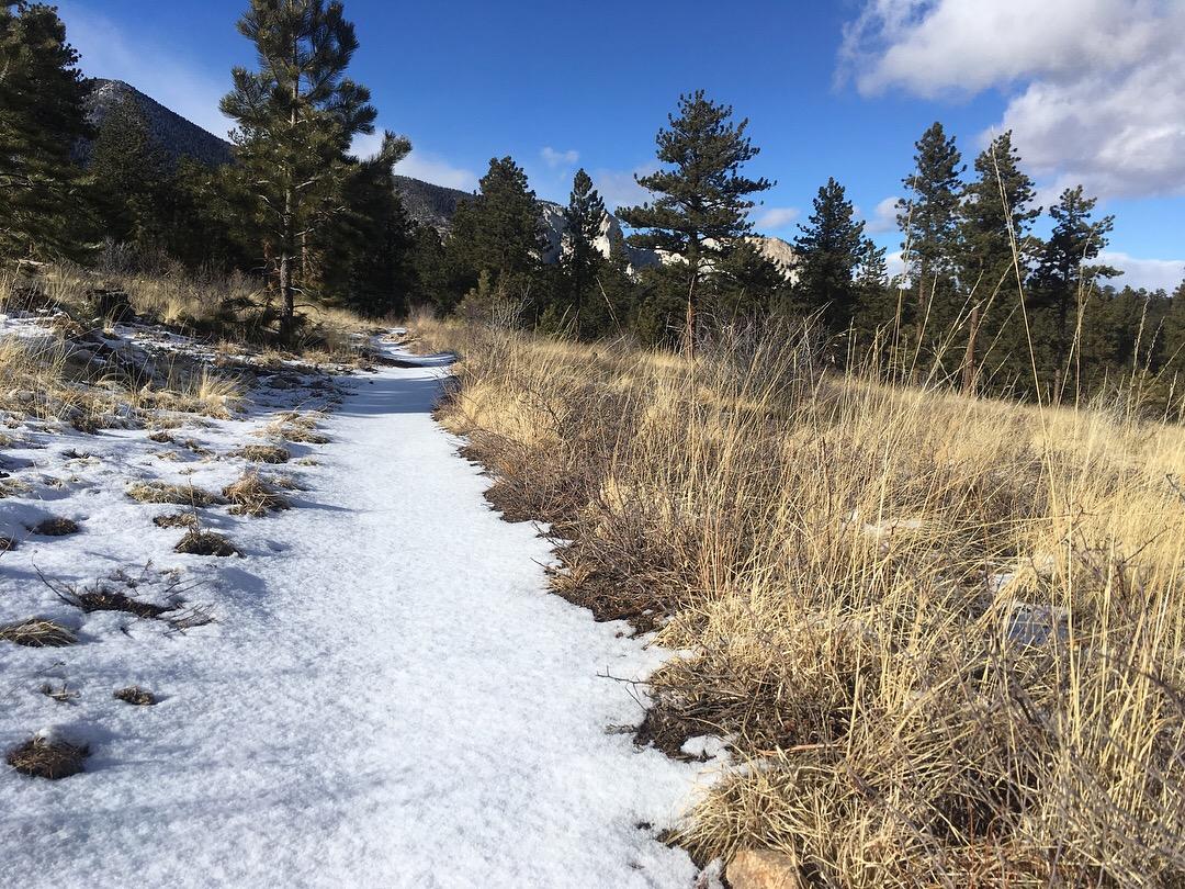 A snow-covered path winding through a grassy area, surrounded by tall conifer trees under a blue sky with scattered clouds. Colorado Trail: Mt. Shavano thd to Chalk Creek thd mountain bike trail.