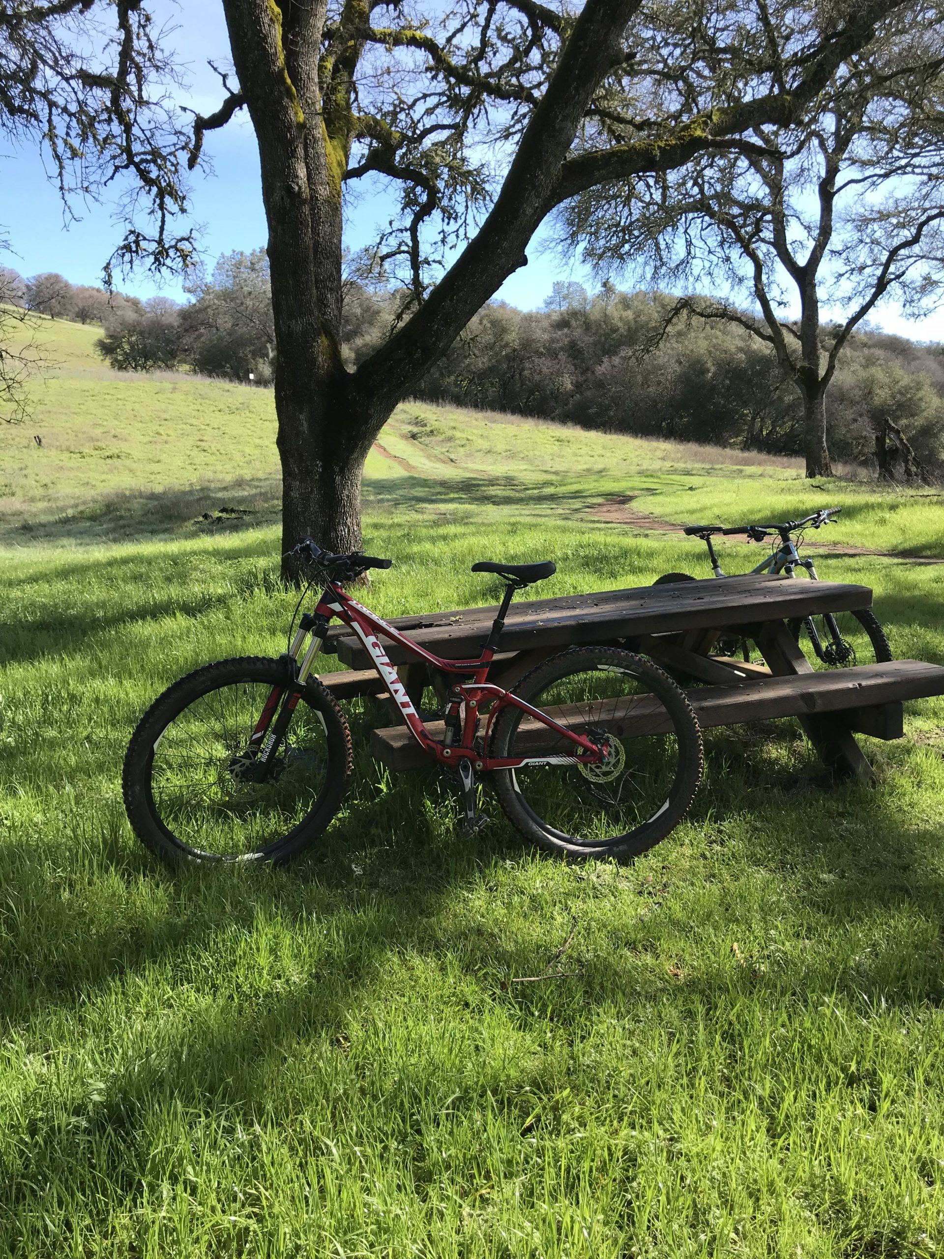 Two bicycles are leaning against a wooden picnic table in a grassy area surrounded by trees. The landscape features a gentle slope with green grass and some distant hills under a clear blue sky. Skunk Hollow/ S Fork American River Trail mountain bike trail.