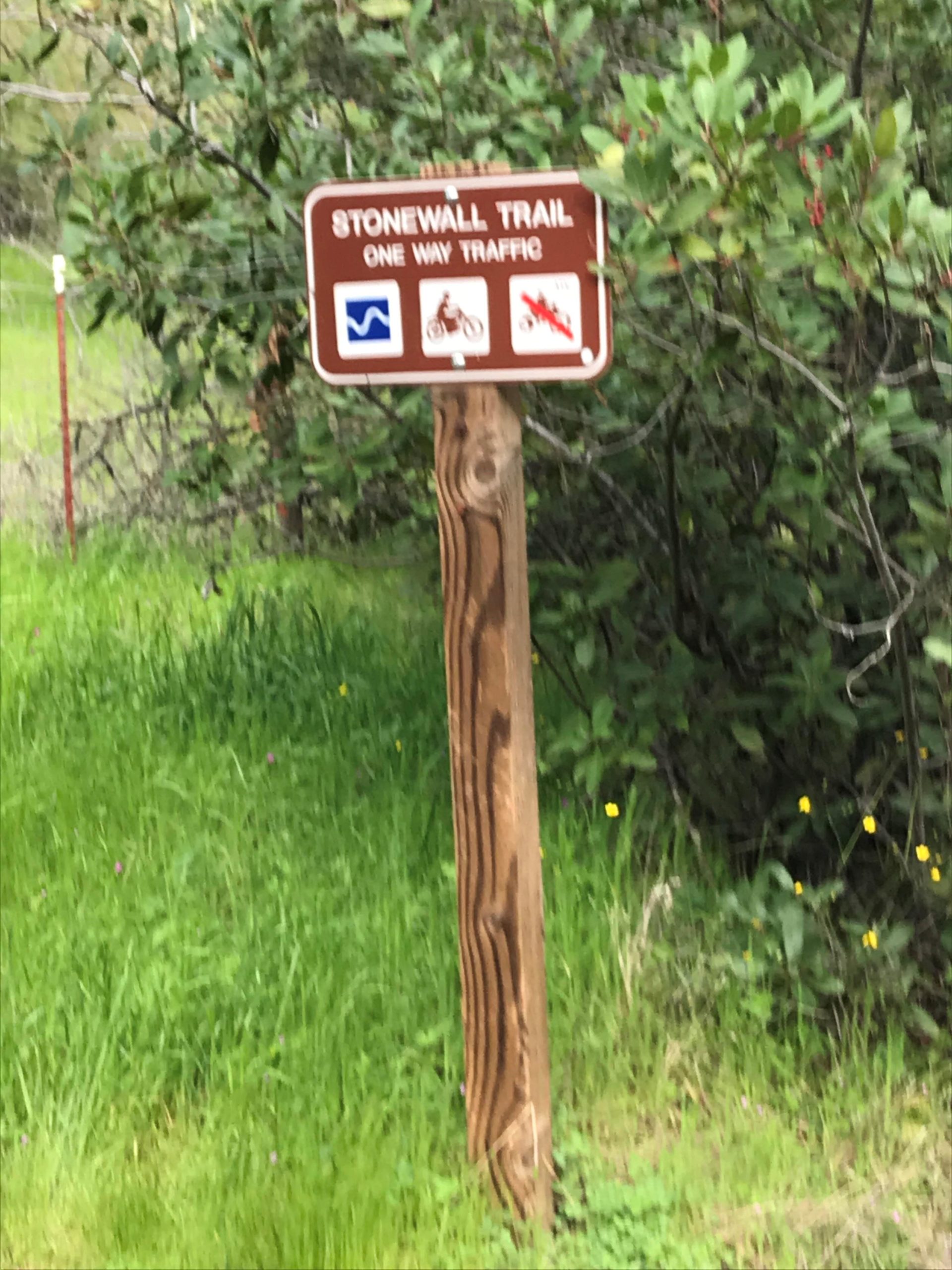 A wooden trail sign labeled "Stonewall Trail" indicating "One Way Traffic," featuring symbols for water, bicycles, and a prohibition on motorized vehicles, surrounded by green grass and shrubs. Stonewall Trail mountain bike trail.