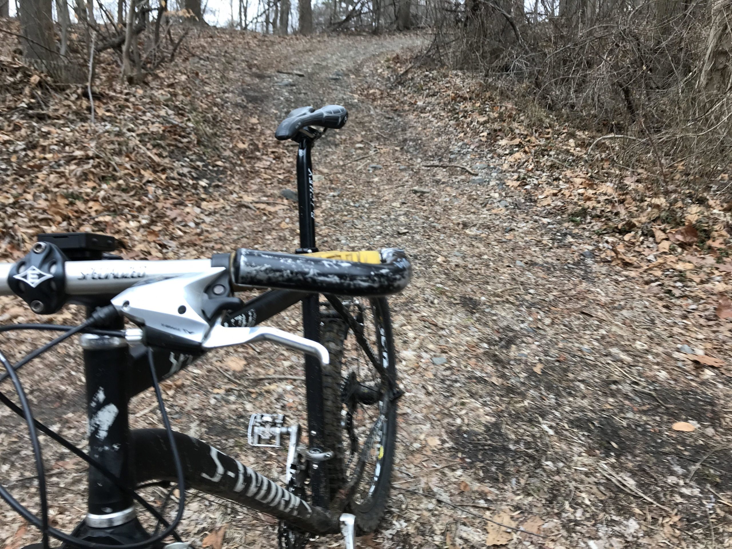 A close-up view of a mountain bike leaning on a gravel trail, surrounded by dry leaves and trees in the background. The bike's handlebars and front wheel are prominently featured, with the trail steeply ascending in the distance. Smedley park mountain bike trail.