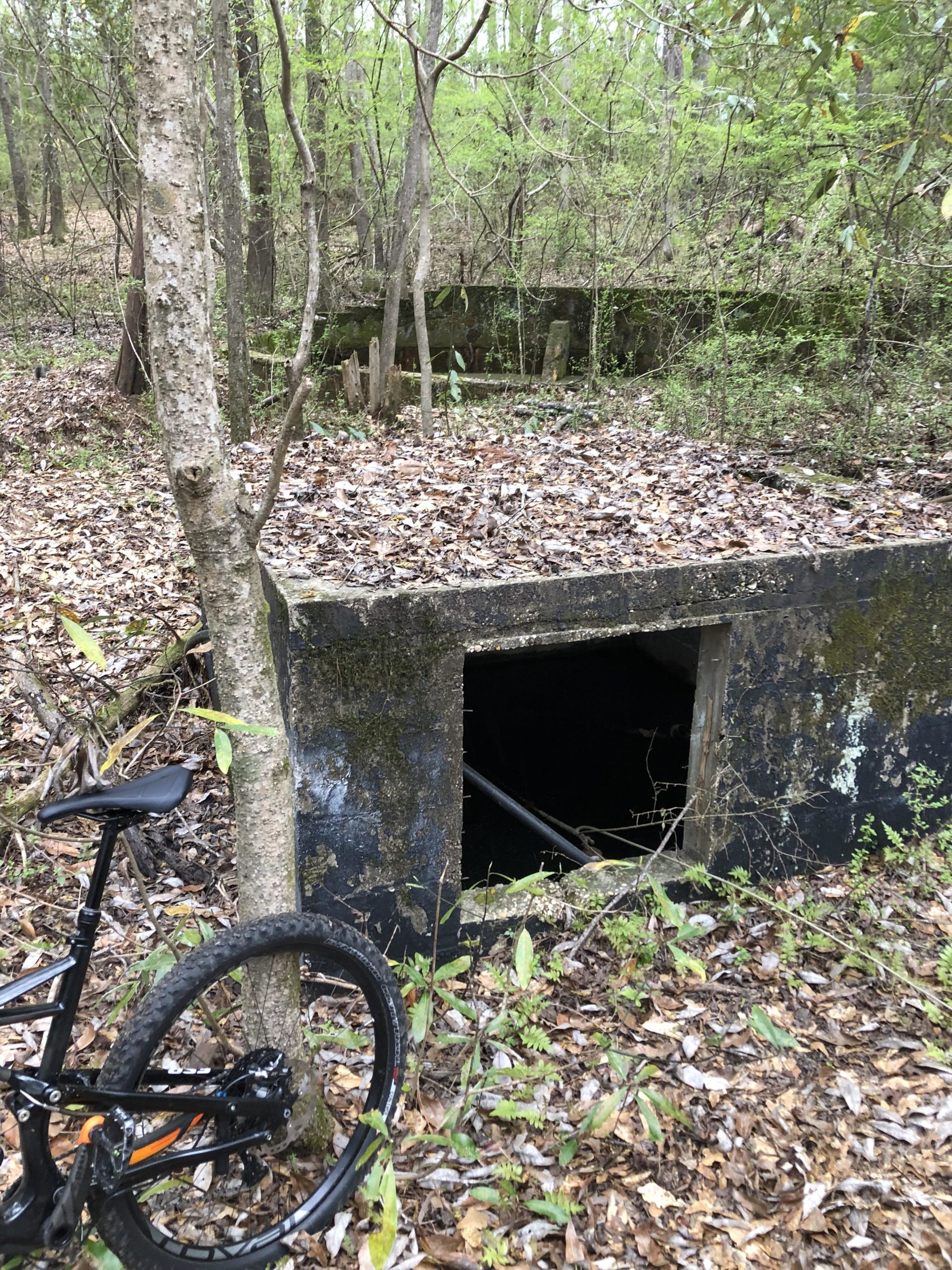 A mountain bike is leaning against a tree in a wooded area, with a small, dilapidated structure partially obscured by vegetation nearby. The structure has an open entrance and is covered in moss and leaves, indicating it may be abandoned. Surrounding the area are various trees and fallen leaves, creating a natural, overgrown environment. Munny Sokol Park mountain bike trail.