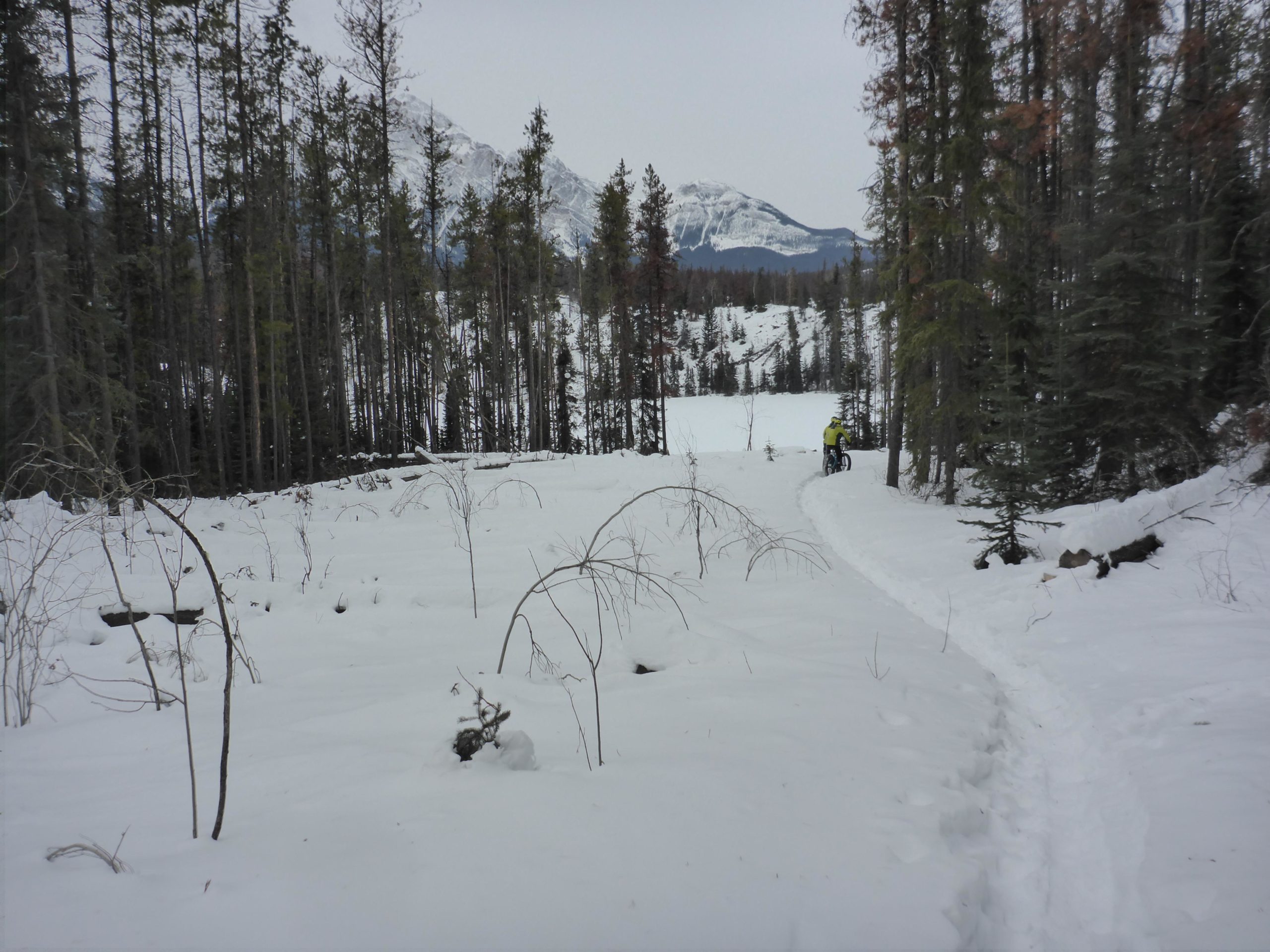A snowy landscape featuring a path winding through a forest of tall trees. In the background, mountains are visible under a gray sky. A person in a bright yellow jacket is riding a bicycle along the snowy trail. Pyramid Bench mountain bike trail.