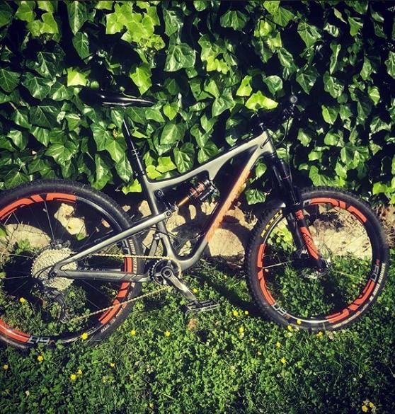 Santa Cruz Bronson C: A mountain bike with a gray frame and orange accents is leaning against a lush green ivy wall, surrounded by grass and small yellow flowers.