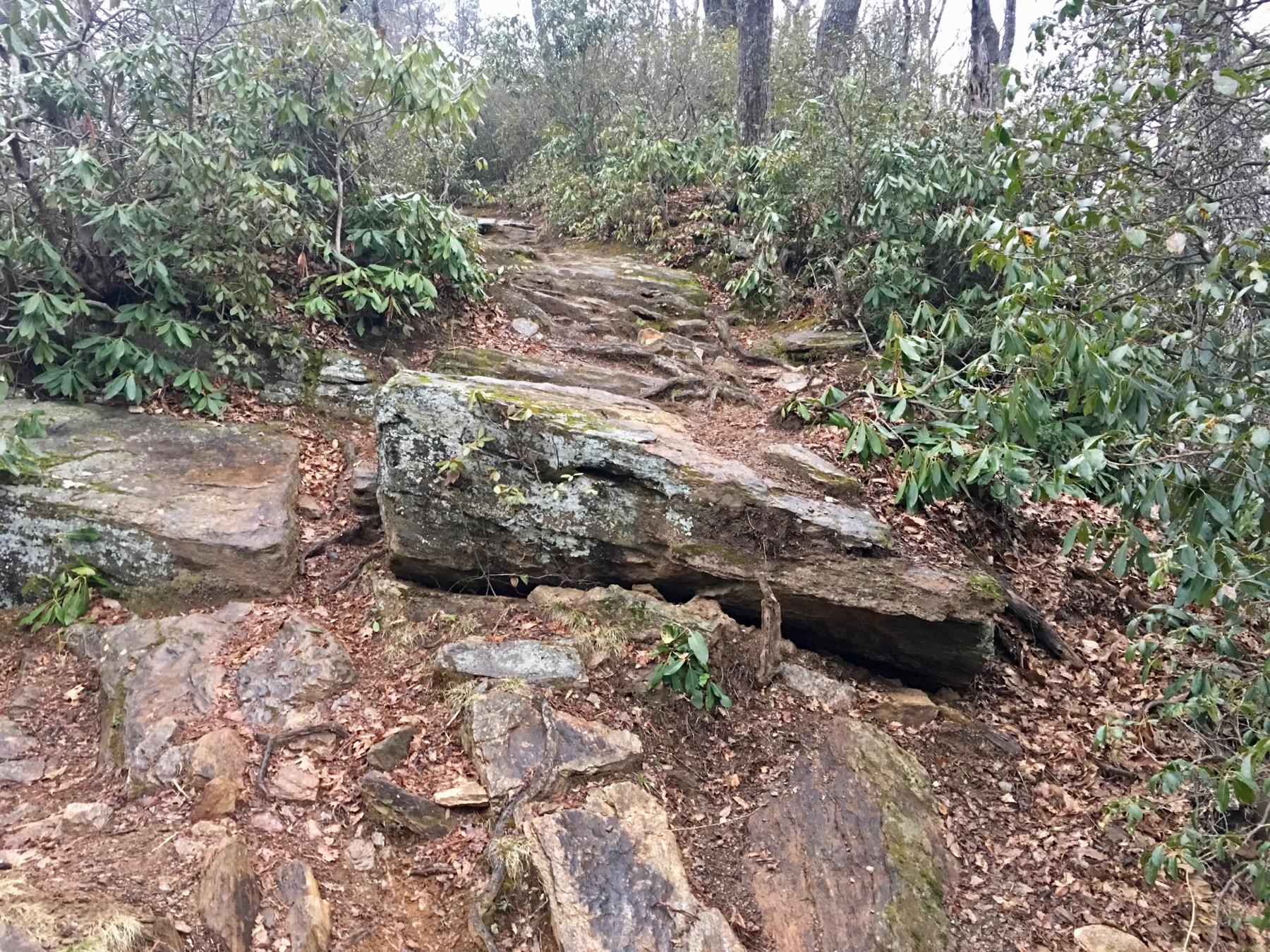 A rocky hiking path winding through green shrubs and trees, with moss-covered stones and fallen leaves scattered along the ground. The trail appears natural and slightly rugged, surrounded by dense vegetation. Bennett Gap / 138 mountain bike trail.