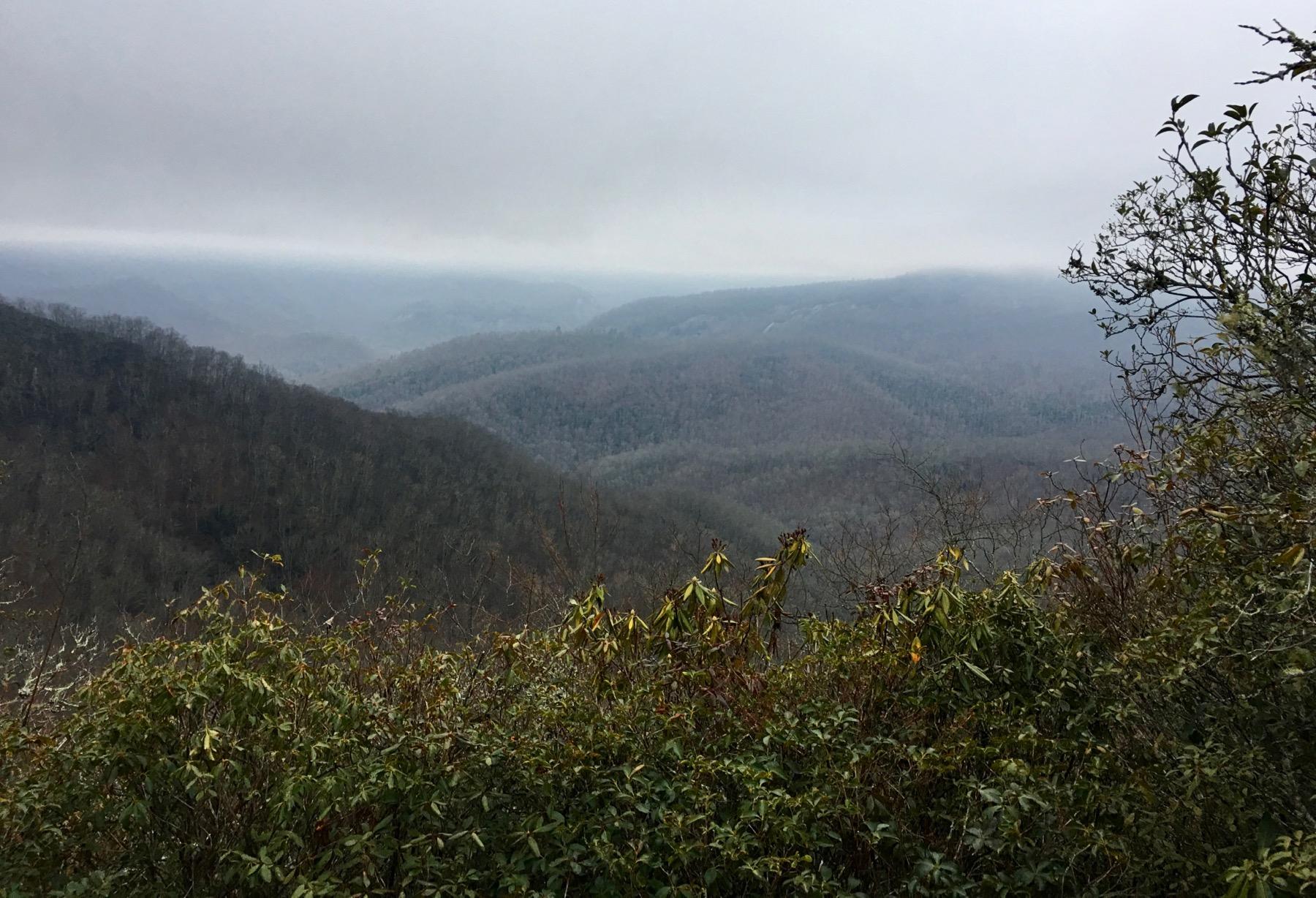 A misty landscape view of rolling hills and valleys, with a layer of fog covering the distant mountains. Sparse foliage is visible in the foreground, showcasing a mix of green and brown leaves. The overall atmosphere is tranquil and slightly overcast. Bennett Gap / 138 mountain bike trail.