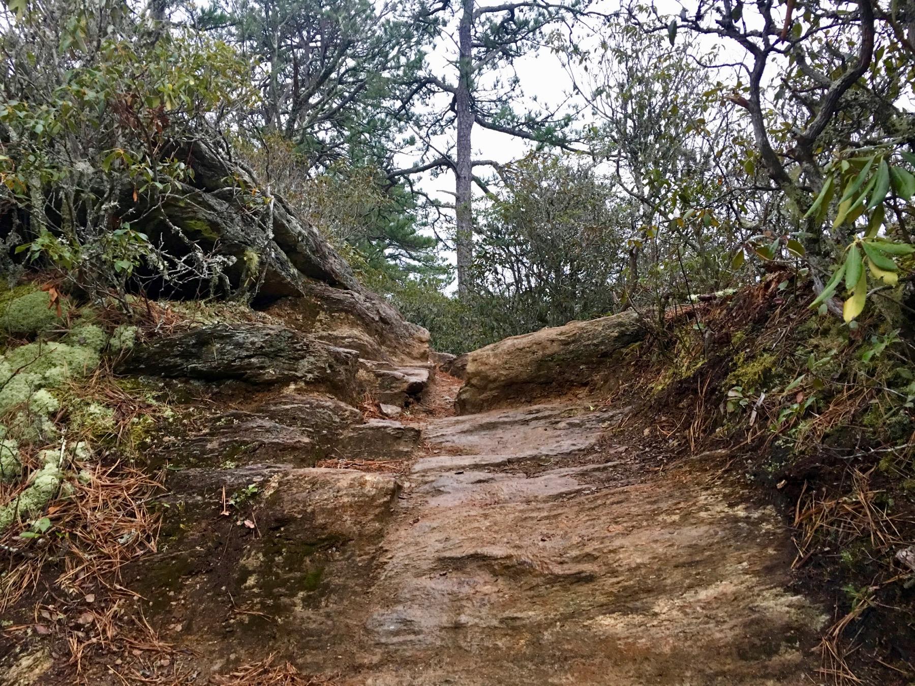A rocky hiking trail winding upward, surrounded by greenery and trees. The path is uneven with large stones and patches of moss. Overcast sky visible in the background. Bennett Gap / 138 mountain bike trail.