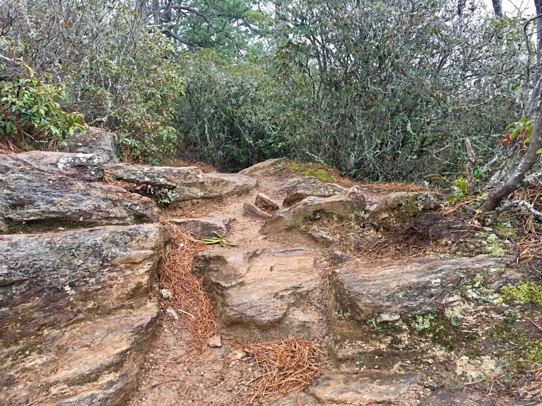 A rugged hiking trail with rocky steps, surrounded by dense greenery and small shrubs. The path is uneven, featuring earth and pine needles scattered between the rocks. Bennett Gap / 138 mountain bike trail.
