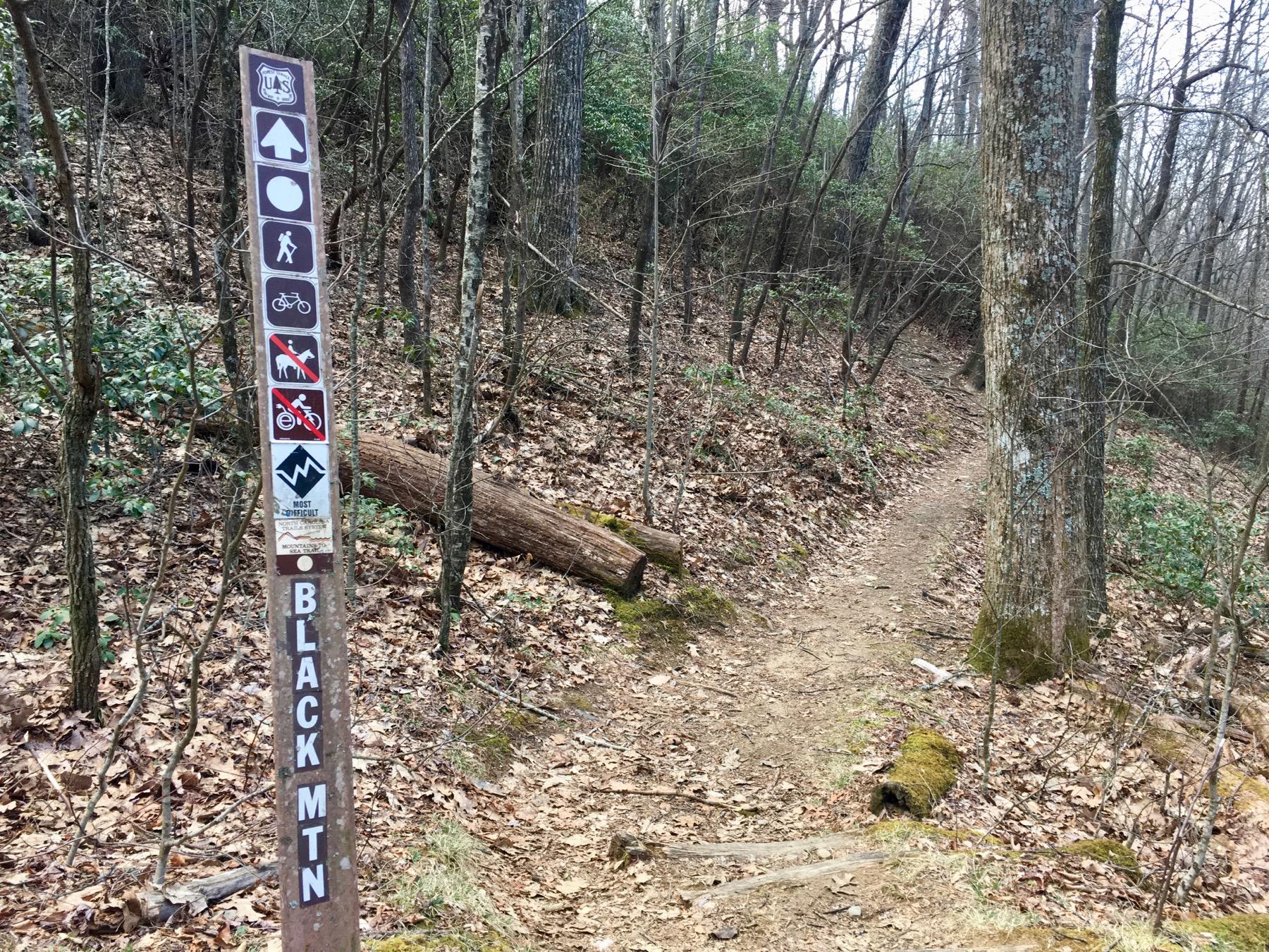 A forest trail marker indicating the Black Mountain trail, featuring symbols for hiking, cycling, and trail rules, set against a backdrop of trees and leaf-covered ground. Black Mountain mountain bike trail.