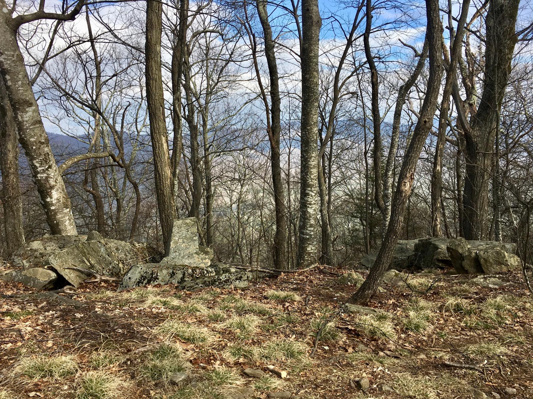 A forested area with sparse trees and rocky outcrops, showing a mix of bare branches and patches of grass. The sky is partly cloudy, revealing distant mountains in the background. Black Mountain mountain bike trail.
