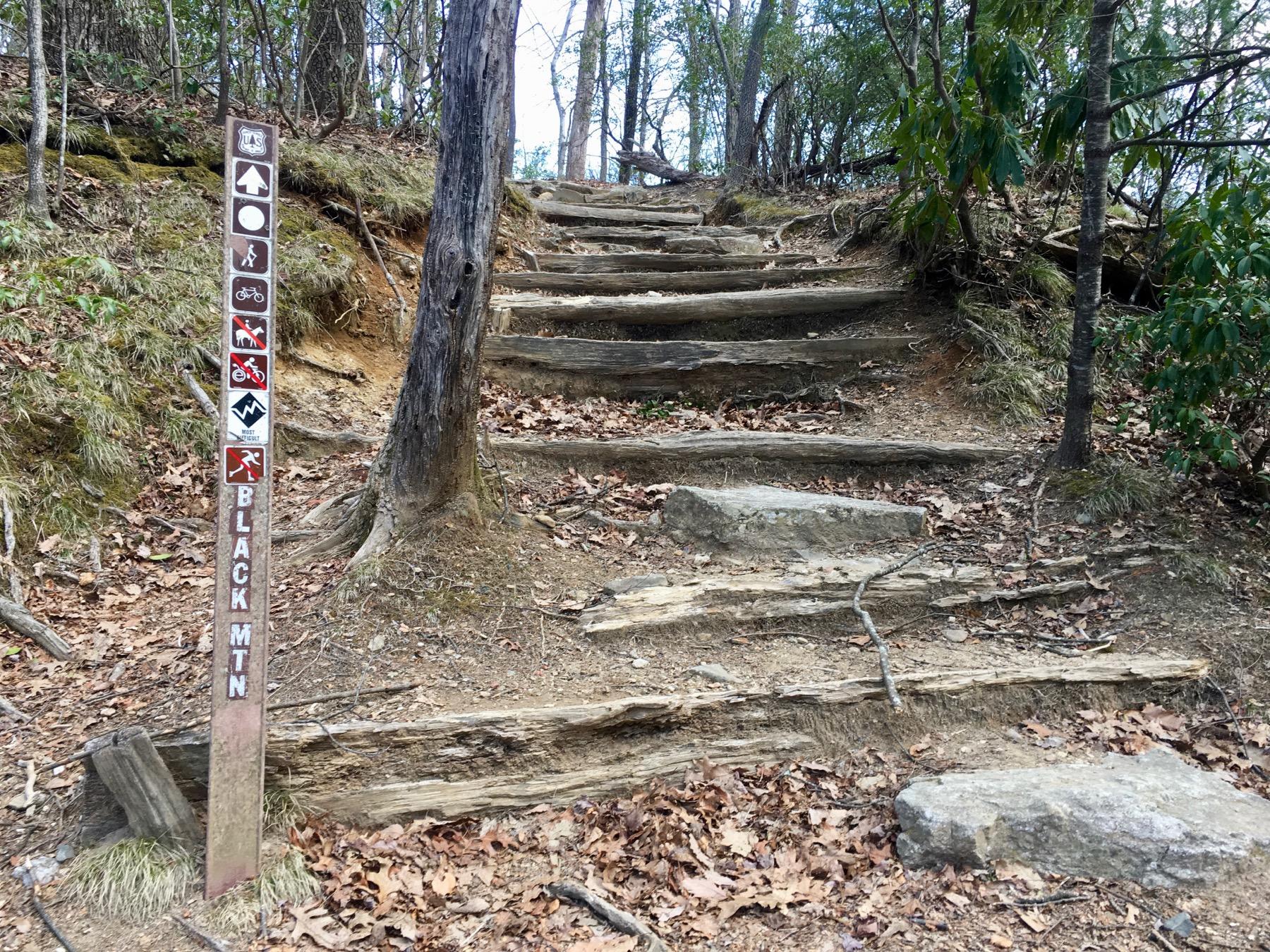 A dirt trail with wooden steps leads upward through a wooded area. On the left, a signpost displays various trail use icons, including those for hiking, biking, and warnings about wildlife. The ground is covered in leaf litter, and the surrounding vegetation is green with some bare trees. The sign reads "BLACK MTN." Black Mountain mountain bike trail.
