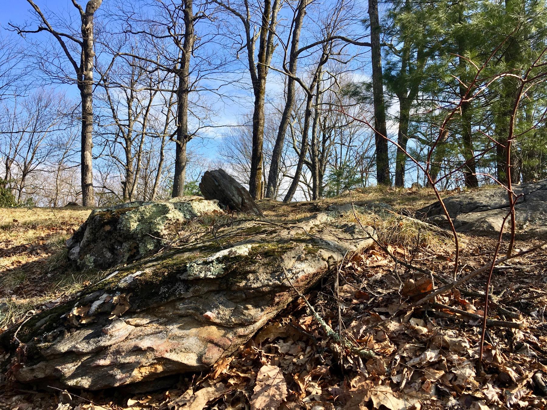 A peaceful landscape featuring rocks, fallen leaves, and a mix of bare and evergreen trees under a blue sky with scattered clouds. Black Mountain mountain bike trail.