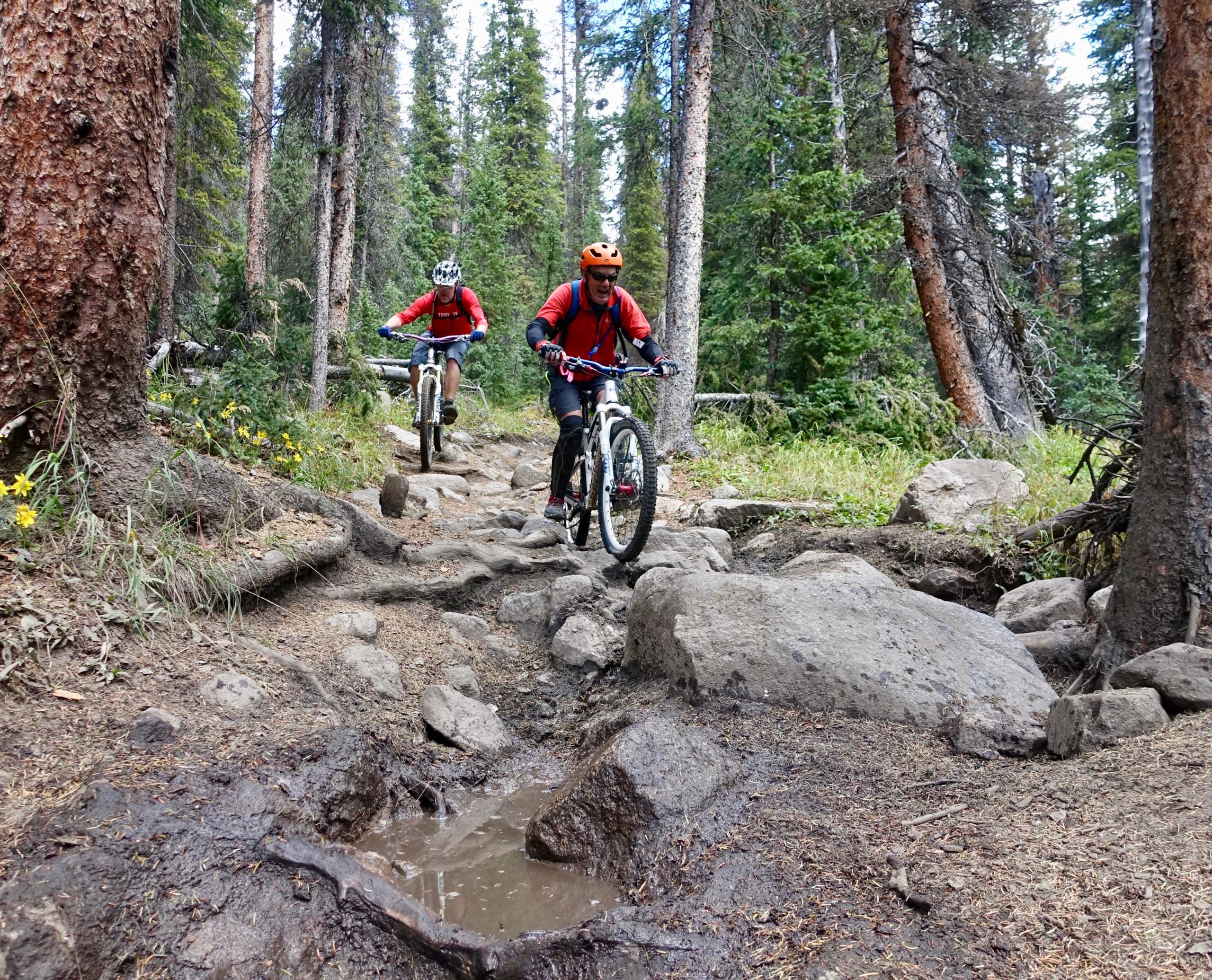 Two mountain bikers navigating a rocky trail in a dense forest. The first rider, wearing a helmet and red shirt, is climbing over a large boulder, while the second rider, in a blue shirt, trails behind. Surrounding them are tall trees and patches of wildflowers, with a small muddy puddle visible on the path. Canyon Creek Trail mountain bike trail.