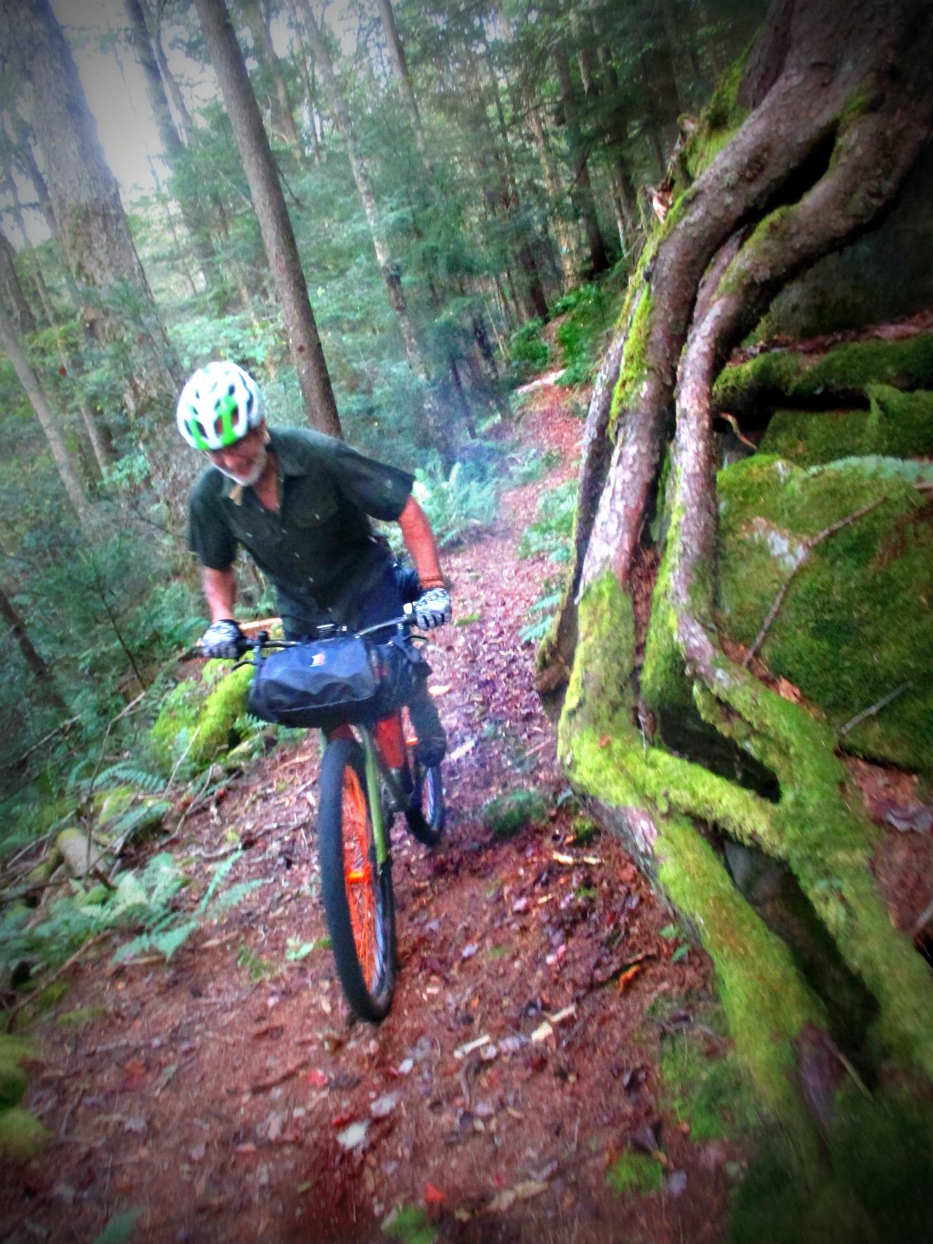 A cyclist navigating a narrow, muddy trail through a dense forest, surrounded by tall trees and moss-covered rocks. The cyclist is wearing a green and white helmet and a dark shirt, focused on maneuvering the bike past a large tree root. PocaFork mountain bike trail.