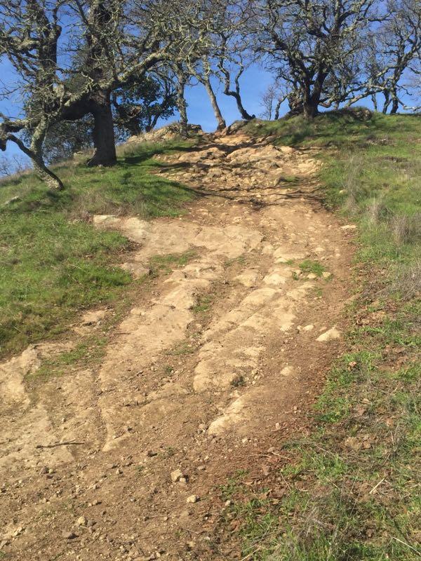 A rocky path leading up a grassy hill, surrounded by trees under a clear blue sky. The uneven trail is marked by tire tracks and exposed soil, indicating use by hikers or vehicles. Rockville Park mountain bike trail.