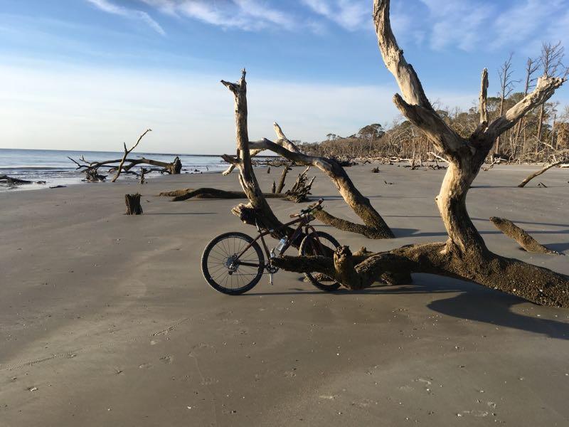 A mountain bike resting against a weathered driftwood tree on a sandy beach, with calm ocean waters and a clear sky in the background. Dead trees and coastal vegetation line the shoreline, creating a serene and natural setting. Hunting Island Trail mountain bike trail.