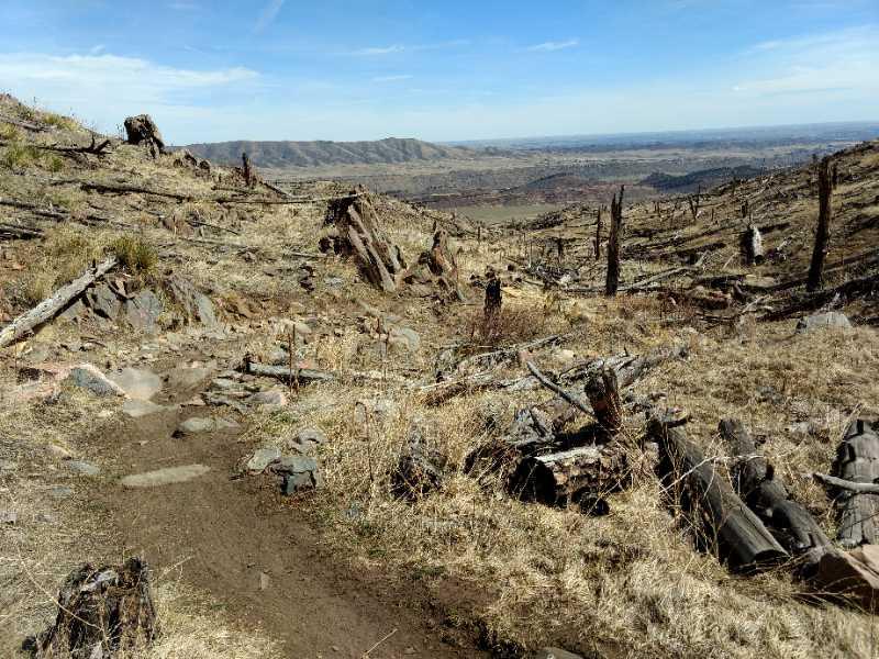A dirt path winds through a barren landscape featuring scattered logs and stumps. Above, the sky is blue with wispy clouds, while distant hills and valleys stretch out in the background. The area appears to be recovering from a recent fire, with dry grass and charred remnants visible throughout the scene. Bobcat Ridge mountain bike trail.