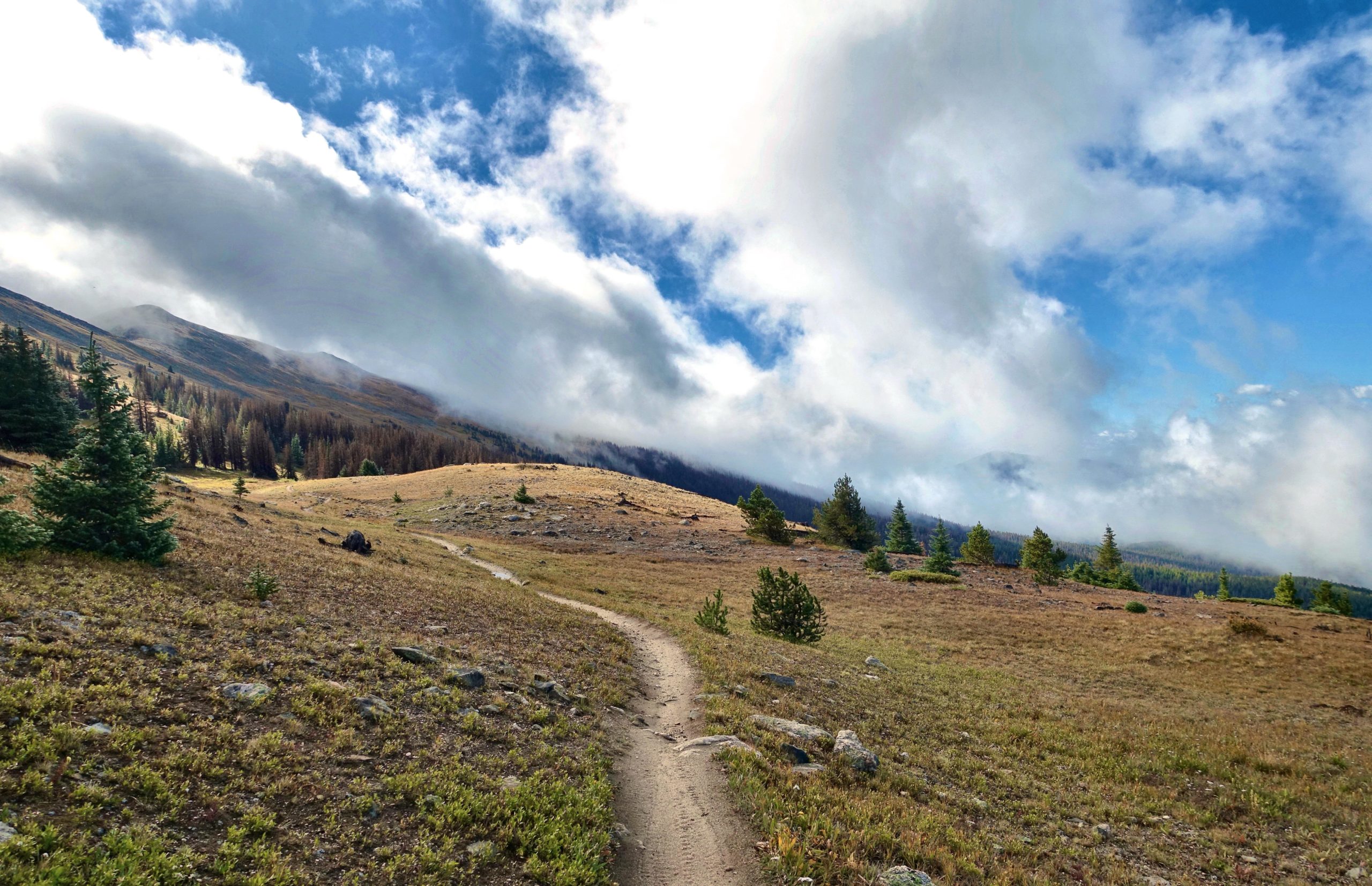A winding dirt path leads through a grassy landscape, bordered by patches of trees. In the background, mountains rise under a partly cloudy sky, with wisps of clouds drifting through. The scene conveys a tranquil, natural setting. Monarch Crest Trail mountain bike trail.
