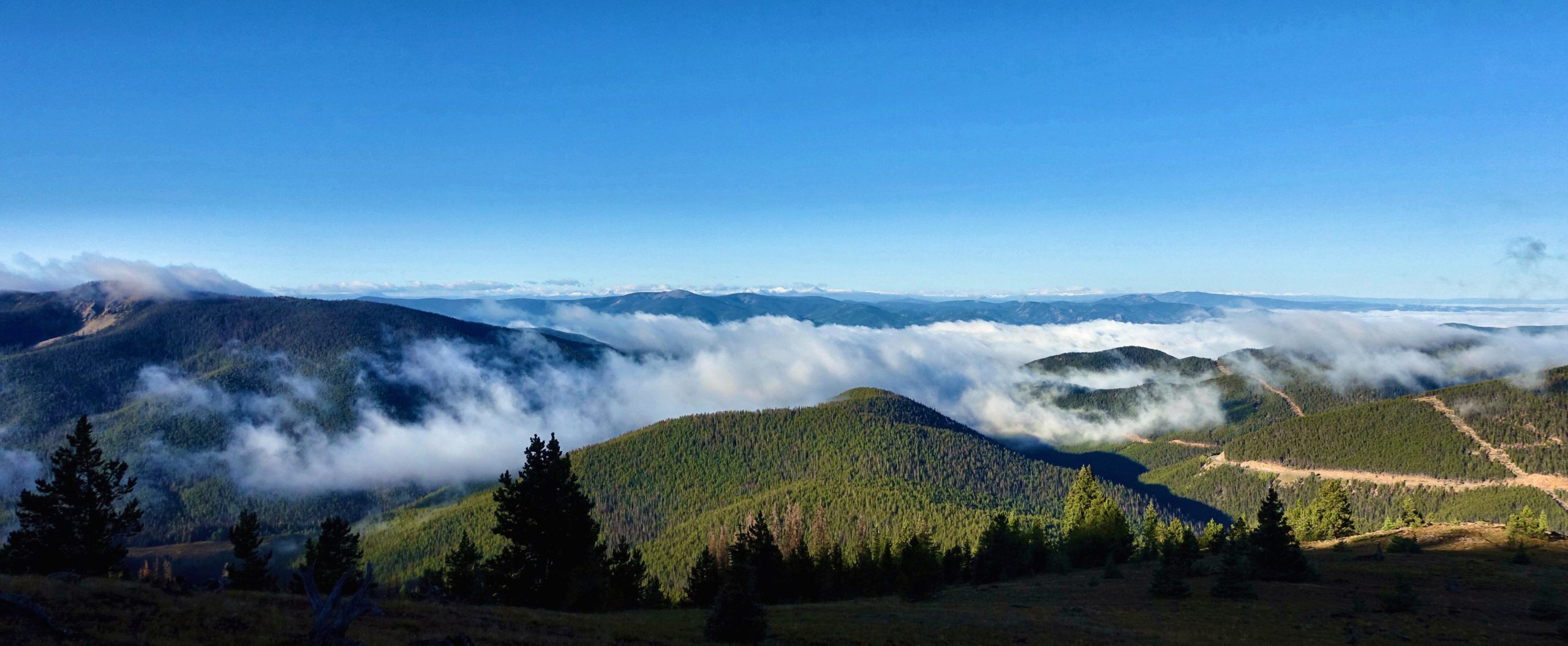 A panoramic view of rolling green mountains partially shrouded in white clouds, under a clear blue sky. In the foreground, several evergreen trees are visible, while the background showcases distant peaks and valleys disappearing into the mist. Monarch Crest Trail mountain bike trail.