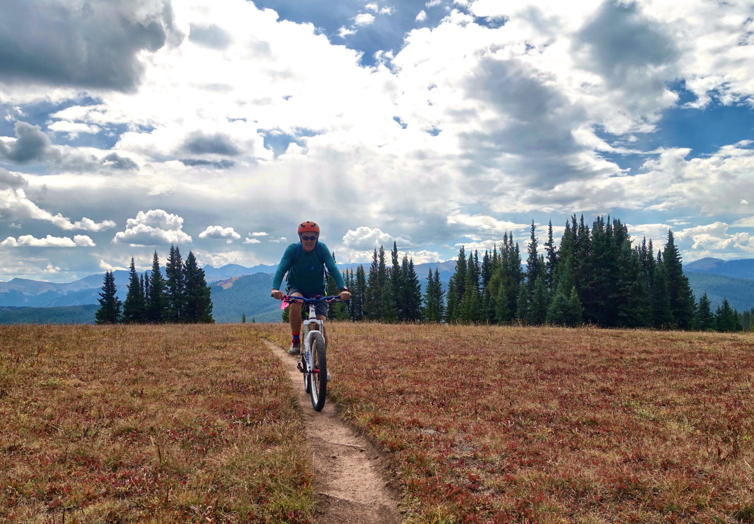 A person riding a mountain bike along a narrow dirt path in a semi-open field. The background features tall evergreen trees and distant mountains under a cloudy sky, creating a scenic outdoor atmosphere. Two Elk via Vail Pass mountain bike trail.