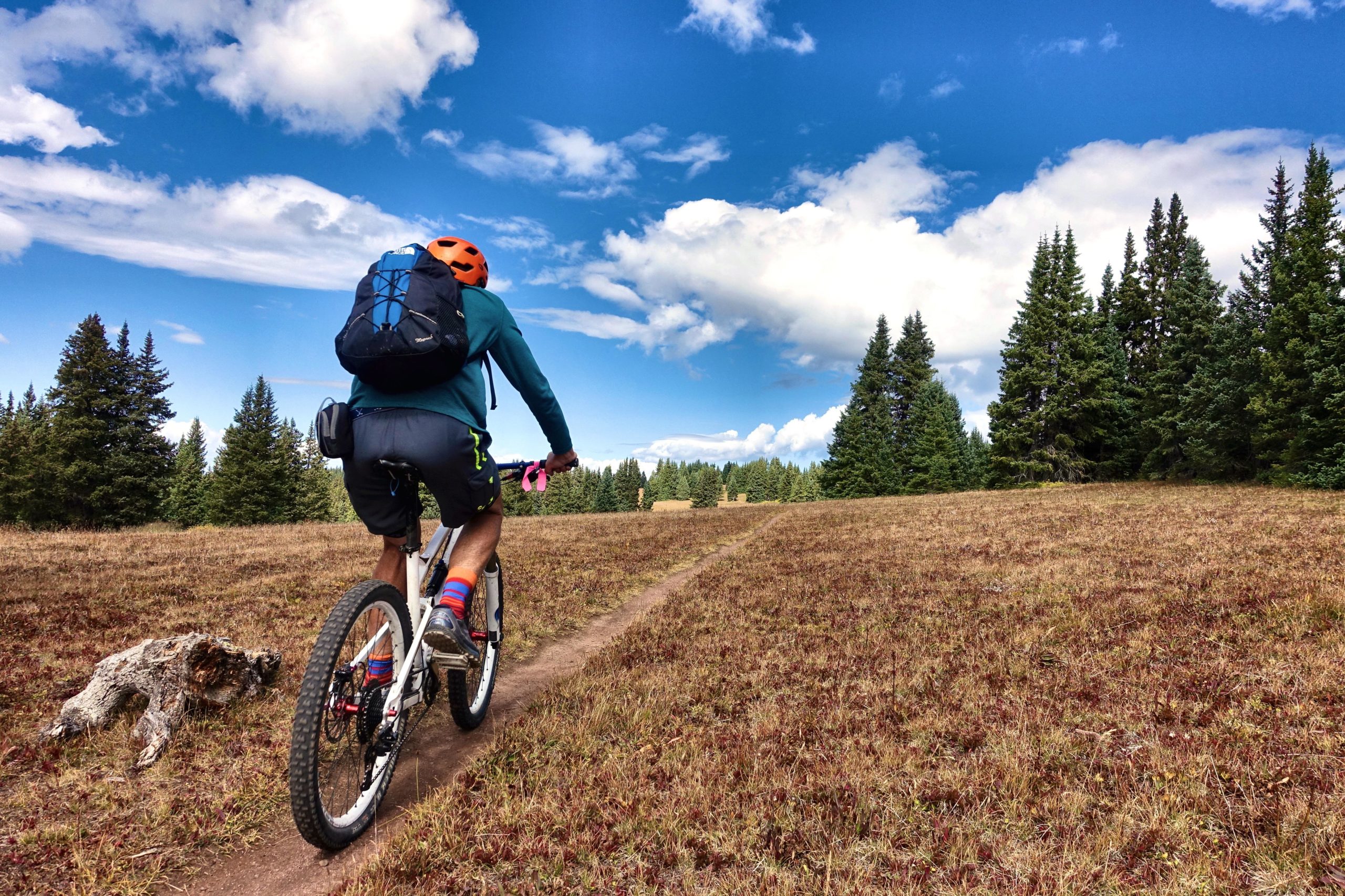 A mountain biker rides along a dirt trail through a grassy field, with green pine trees and a blue sky dotted with clouds in the background. The cyclist wears an orange helmet and a backpack, showcasing a colorful outfit with bright socks. Two Elk via Vail Pass mountain bike trail.