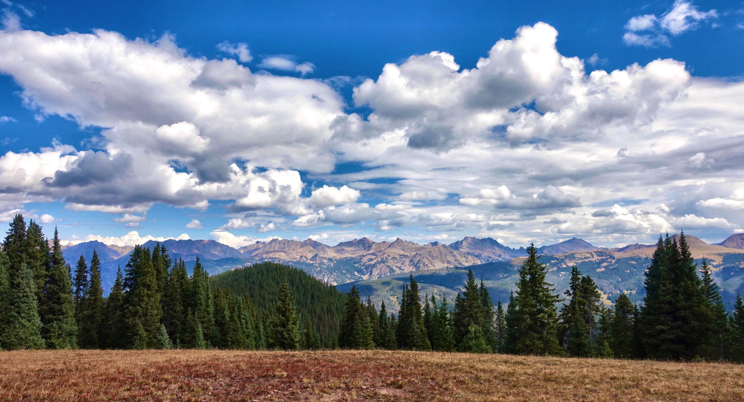 A panoramic view of mountains under a blue sky filled with fluffy white clouds. In the foreground, a grassy meadow is bordered by tall evergreen trees, leading to rugged mountain peaks in the distance. The scene captures the beauty of nature with vibrant colors and expansive landscapes. Two Elk via Vail Pass mountain bike trail.
