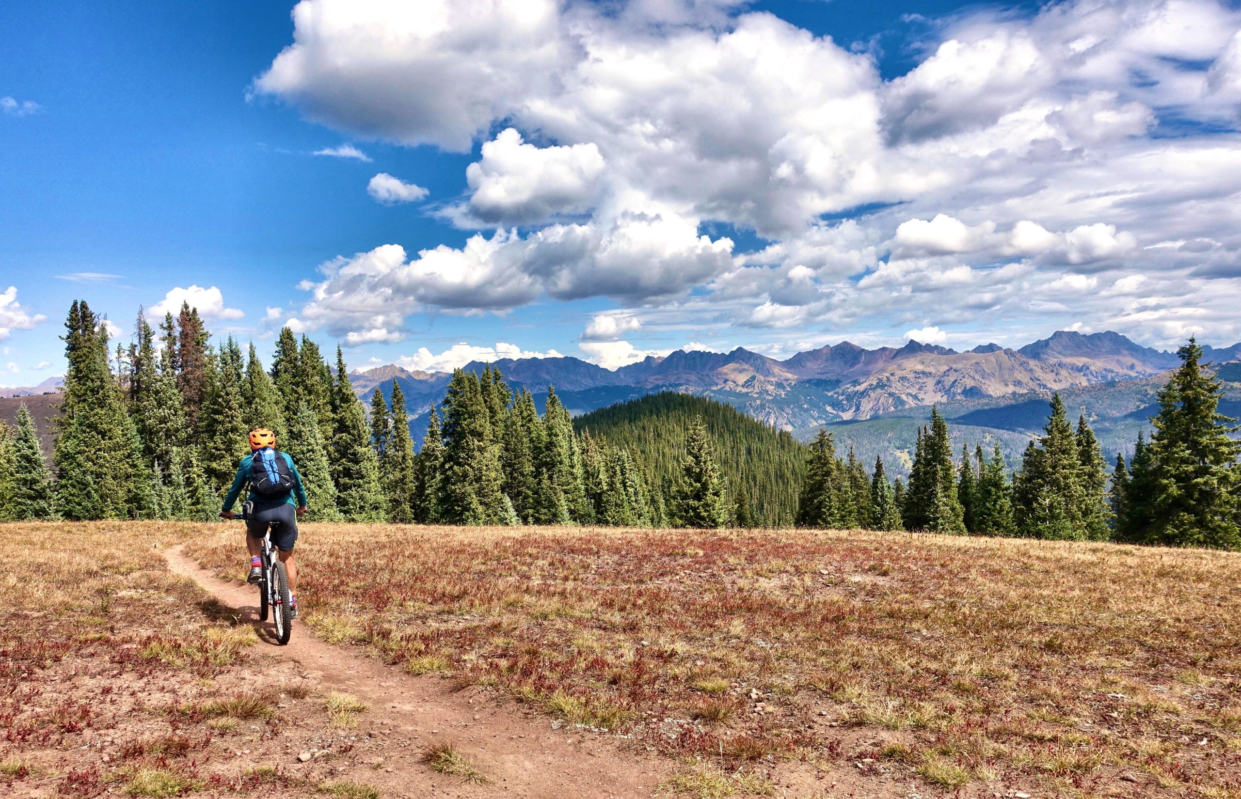 A mountain biker riding along a dirt trail through a grassy area surrounded by pine trees, with a panoramic view of mountains and a blue sky with fluffy clouds in the background. Two Elk via Vail Pass mountain bike trail.