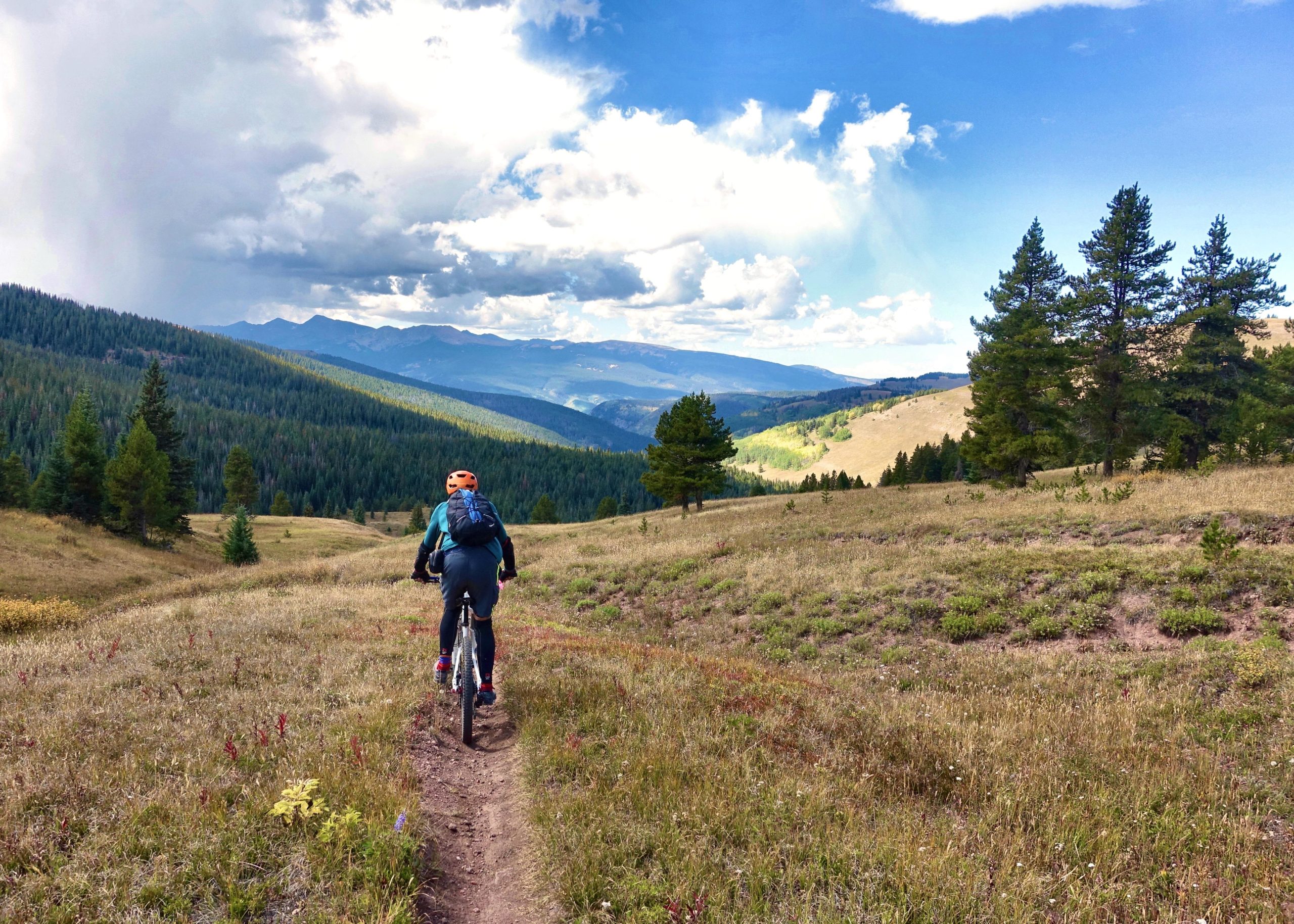 A person riding a mountain bike on a narrow trail through a grassy landscape, surrounded by trees and mountains under a partly cloudy sky. The view features rolling hills and a vibrant green valley in the distance. Two Elk via Vail Pass mountain bike trail.