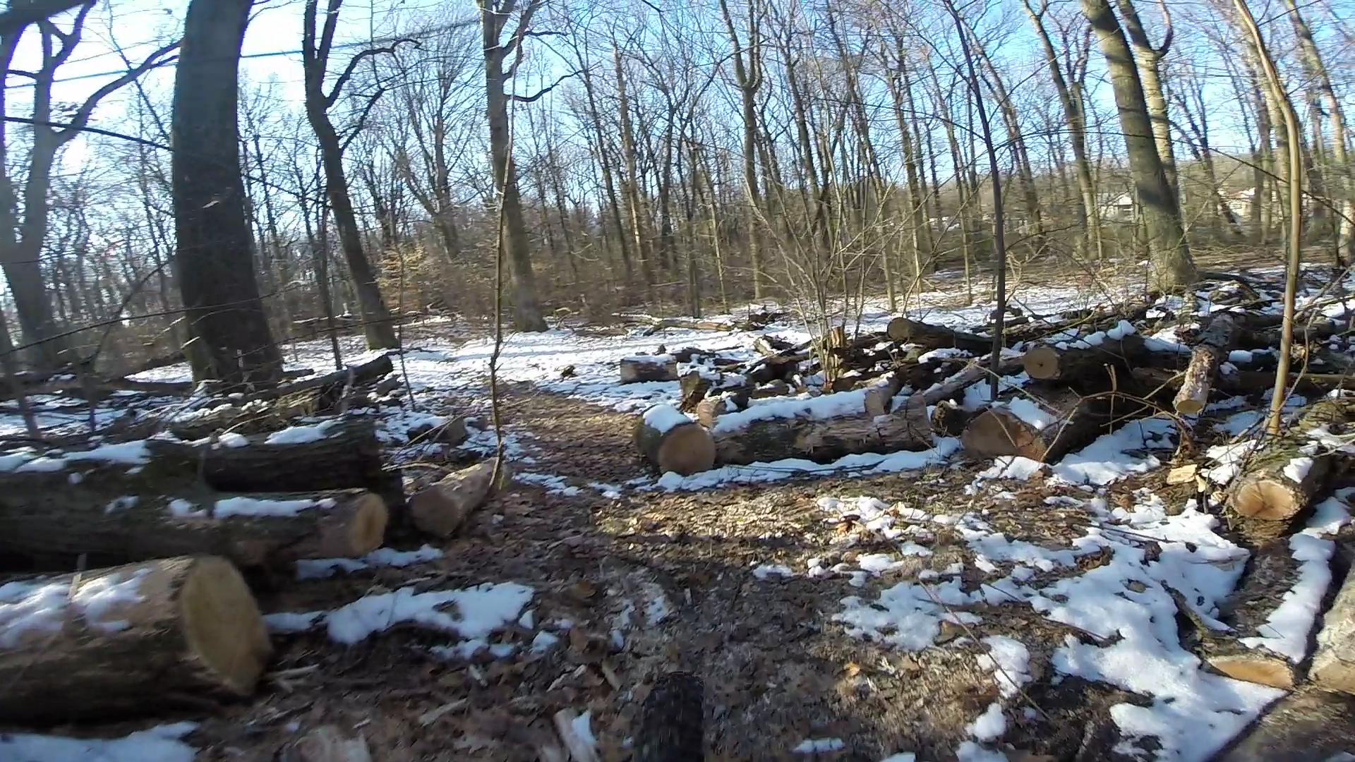 A snowy forest path surrounded by bare trees, with fallen logs scattered along the trail. Some patches of snow remain on the ground, indicating winter conditions. Sunlight filters through the branches, creating a serene outdoor atmosphere. Wolfes Pond park mountain bike trail.