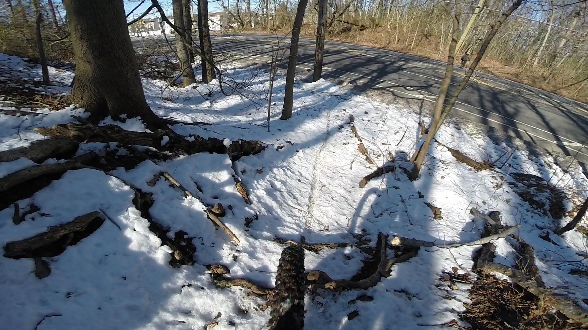 A snowy landscape featuring a winding road bordered by trees and scattered branches. The ground is covered in a layer of snow, with shadows cast from the trees onto the white surface. The scene appears to be a quiet, natural area adjacent to a roadside. Wolfes Pond park mountain bike trail.