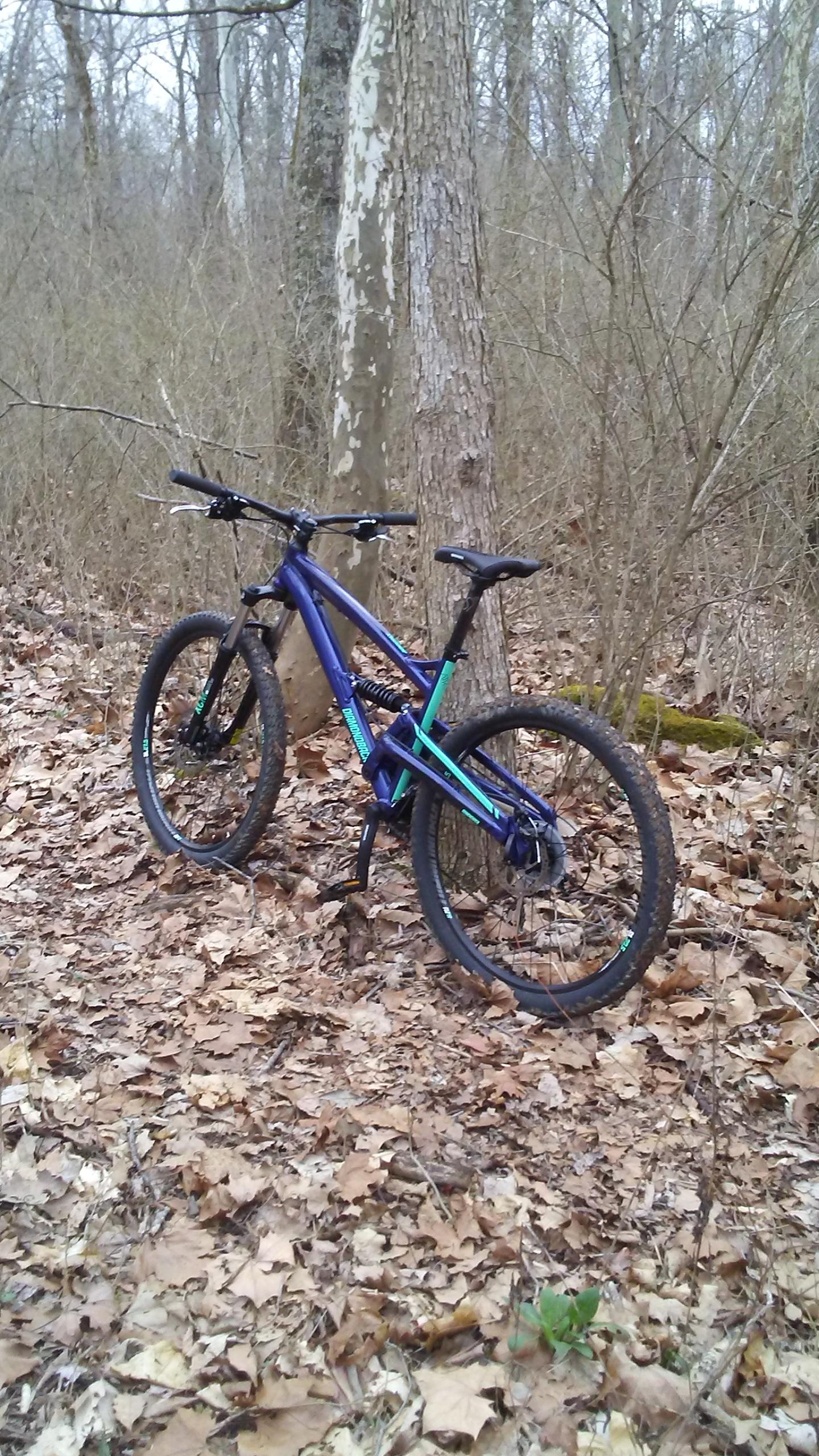 Diamondback Atroz Comp: A mountain bike resting against a tree in a wooded area, surrounded by fallen leaves and sparse undergrowth. The bike features a blue and green color scheme, with thick tires designed for off-road riding.