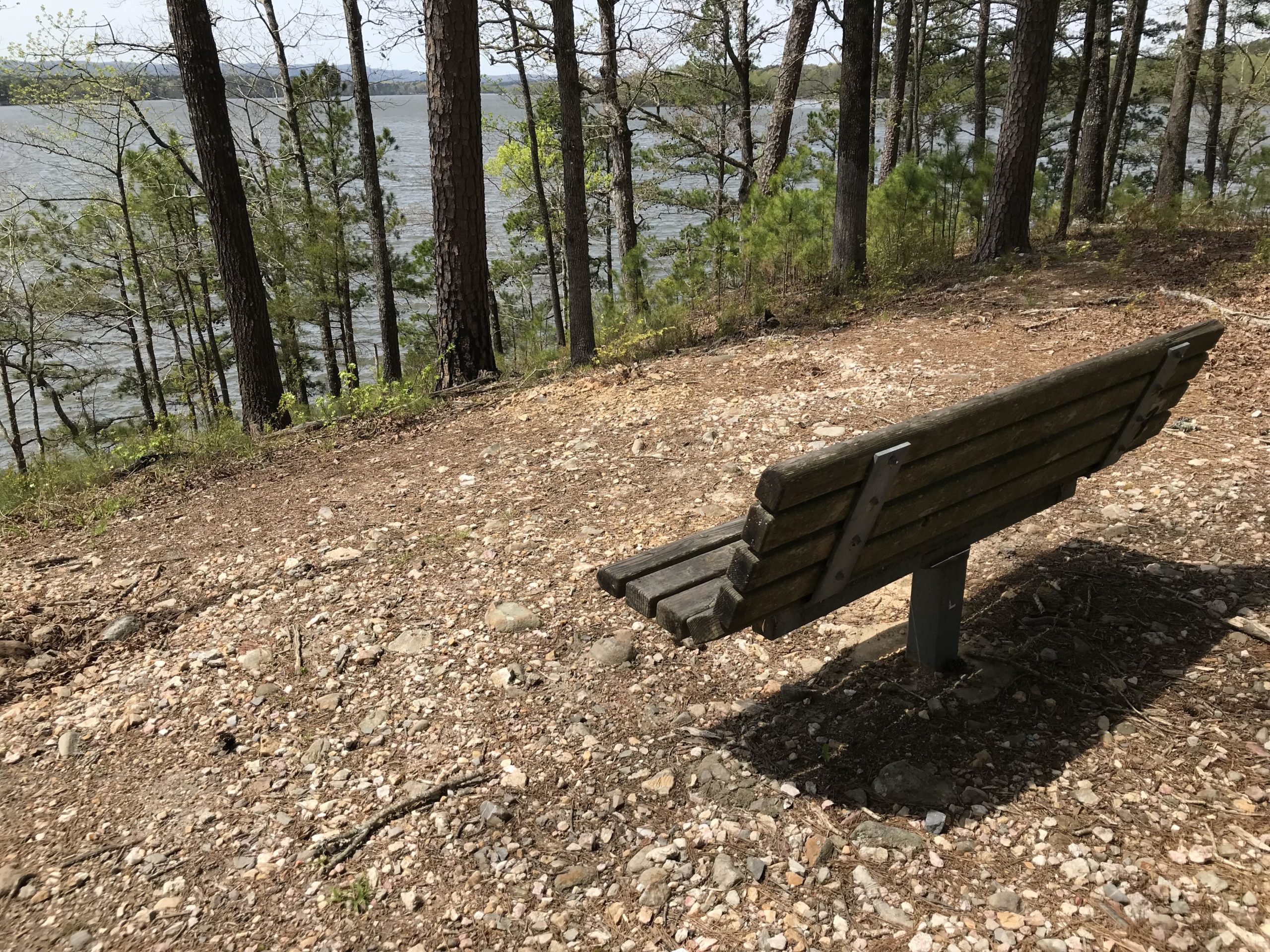 A wooden bench positioned on a gravel path overlooking a serene lake, surrounded by tall trees and greenery. The scene captures a peaceful natural setting, ideal for relaxation or contemplation. Lake Ouachita Vista Trail mountain bike trail.