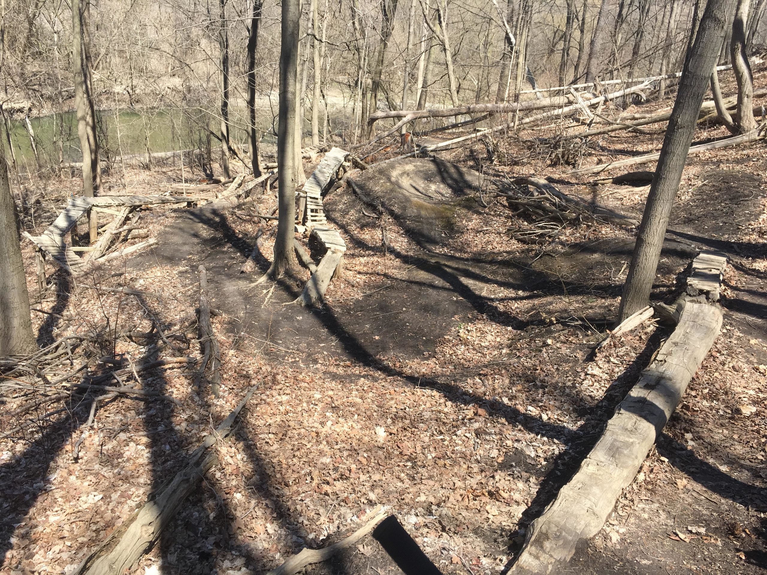 A wooded area in early spring, featuring bare trees, fallen logs, and a leaf-covered ground. A narrow dirt path winds through the scene, flanked by wooden bridges made from logs. In the background, a calm river is visible. Shadows stretch across the ground, creating a serene yet rugged natural setting. Don Valley mountain bike trail.