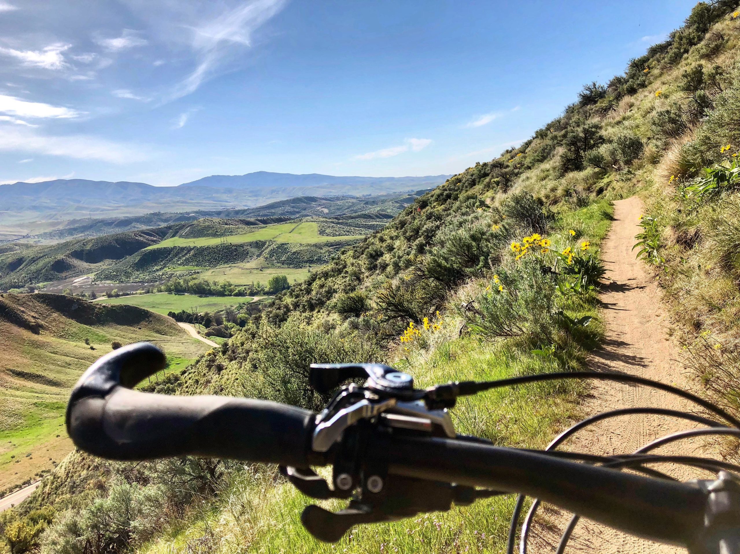 A scenic mountain biking trail with a view of rolling hills and green landscapes under a clear blue sky. The handlebars of a bicycle are in the foreground, framing the vibrant scenery that includes wildflowers and a winding path. Polecat Gulch Loop #81 mountain bike trail.