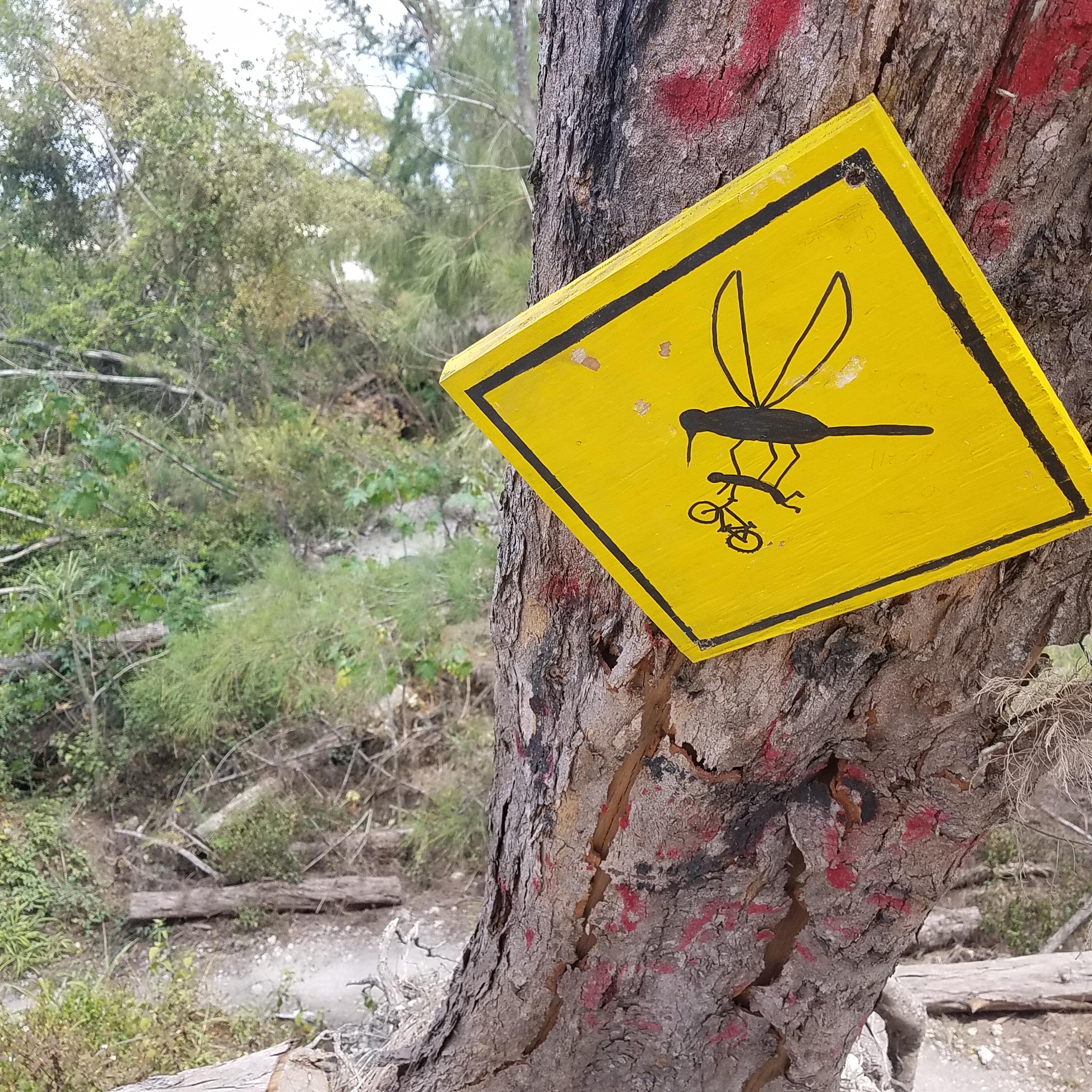 Yellow warning sign attached to a tree, featuring a graphic of a large mosquito carrying a person on a bicycle. The background shows a natural setting with greenery and fallen logs. Amelia Earhart Park mountain bike trail.