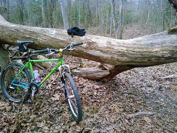 A green mountain bike leaning against a large fallen tree in a wooded area, with a black glove resting on the log. The ground is covered in brown leaves, and a narrow dirt path is visible in the background. Rancocas State Park - Westampton mountain bike trail.
