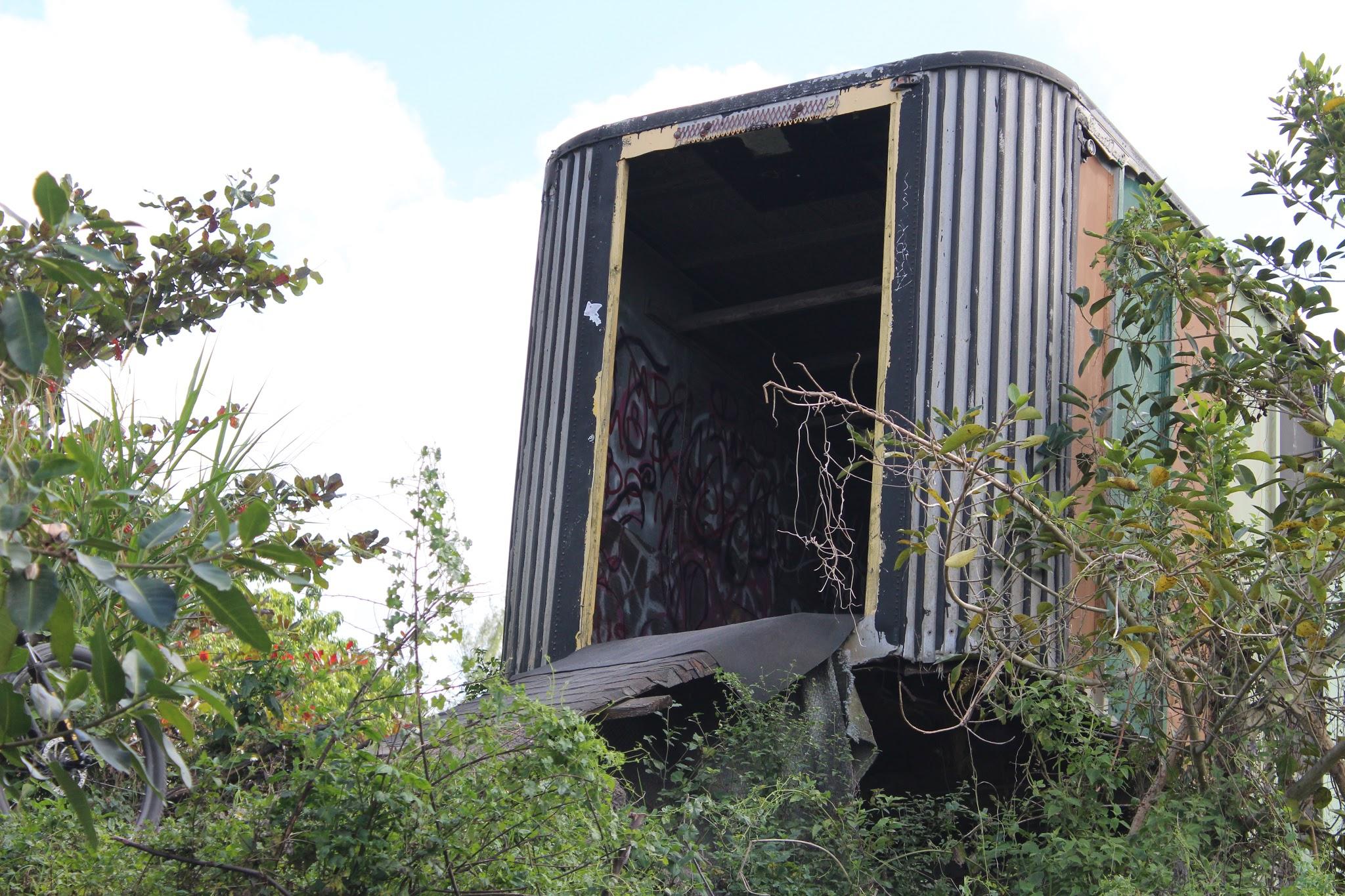 An abandoned, partially collapsed structure surrounded by overgrown vegetation. The building features a corrugated metal exterior with an open front, revealing graffiti on the walls inside. Lush greenery and bushes frame the scene, highlighting the neglect of the structure. Amelia Earhart Park mountain bike trail.