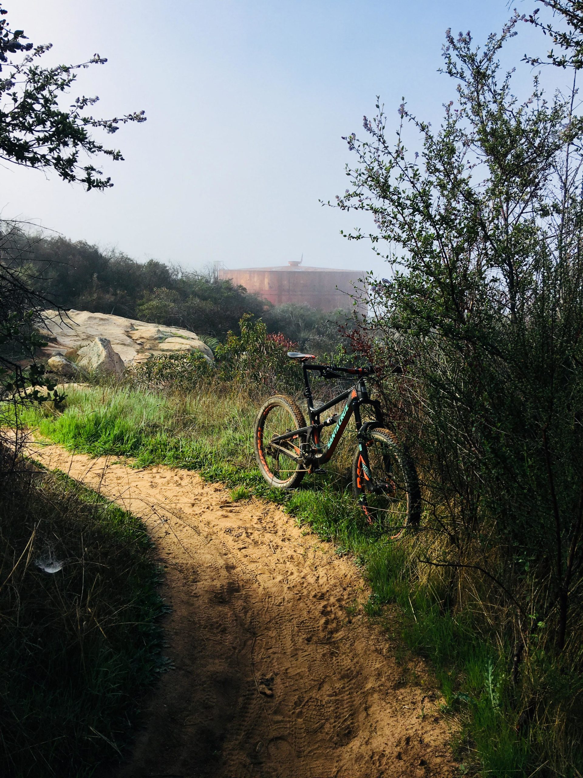 A mountain bike resting on a sandy trail surrounded by dense greenery and bushes, with fog obscuring the background. The scene conveys a tranquil outdoor setting, inviting exploration in a nature-filled environment. Daley Ranch mountain bike trail.